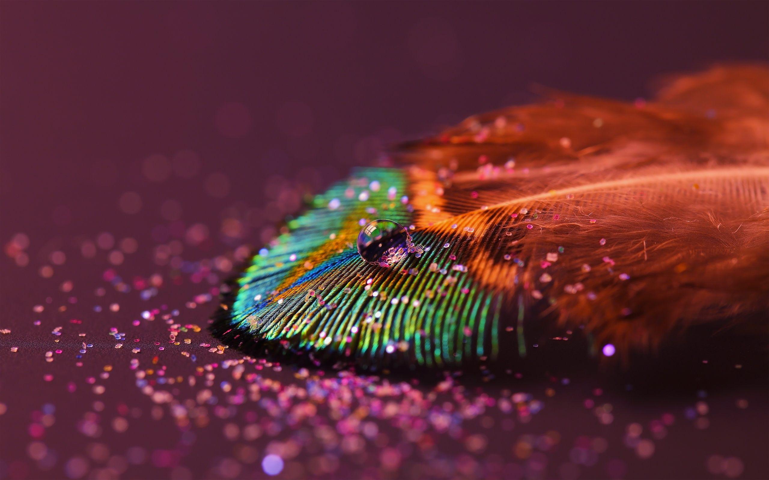 For Your Desktop: Feather Wallpaper, 32 Top Quality Feather