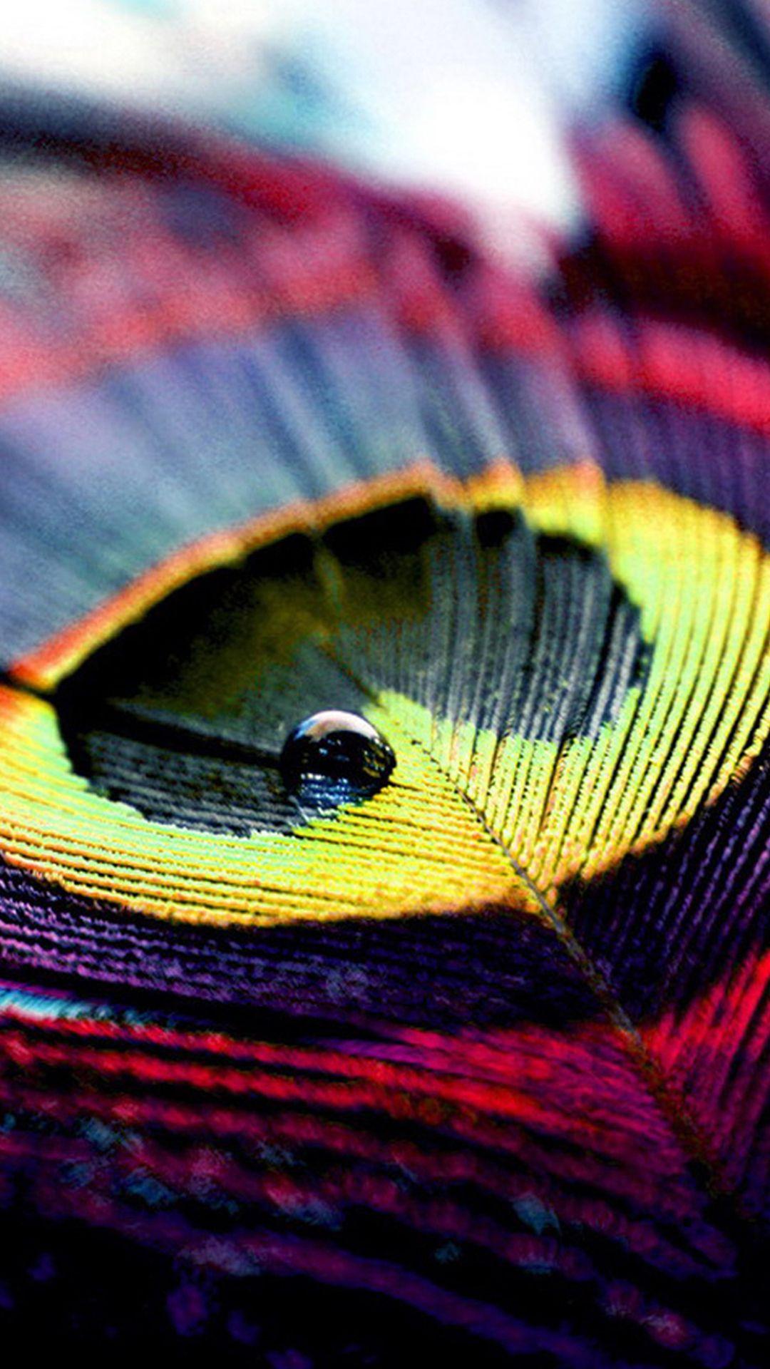Colorful Peacock Feather HTC One M9 wallpaper