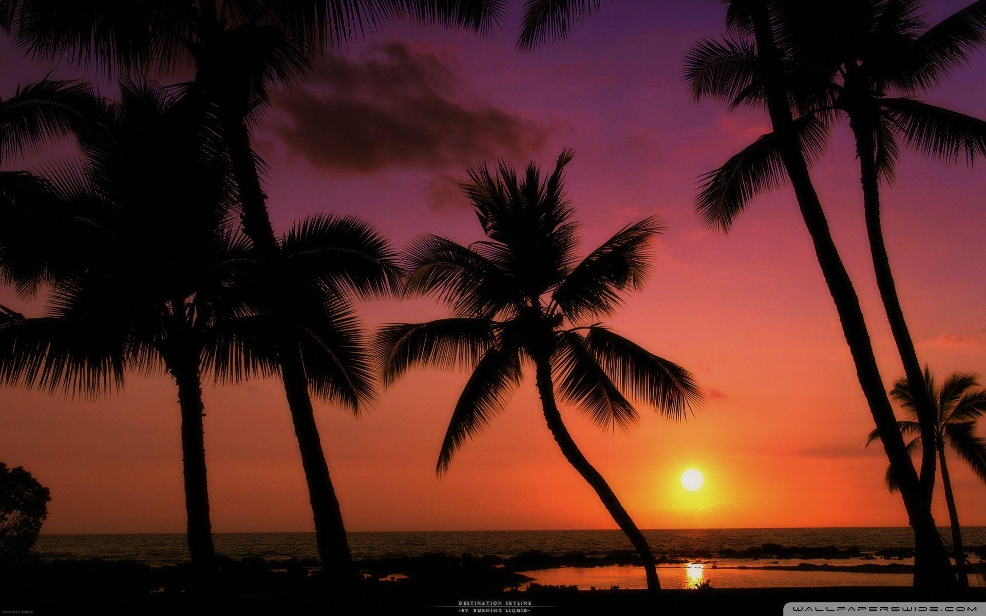 tropical sunset pictures