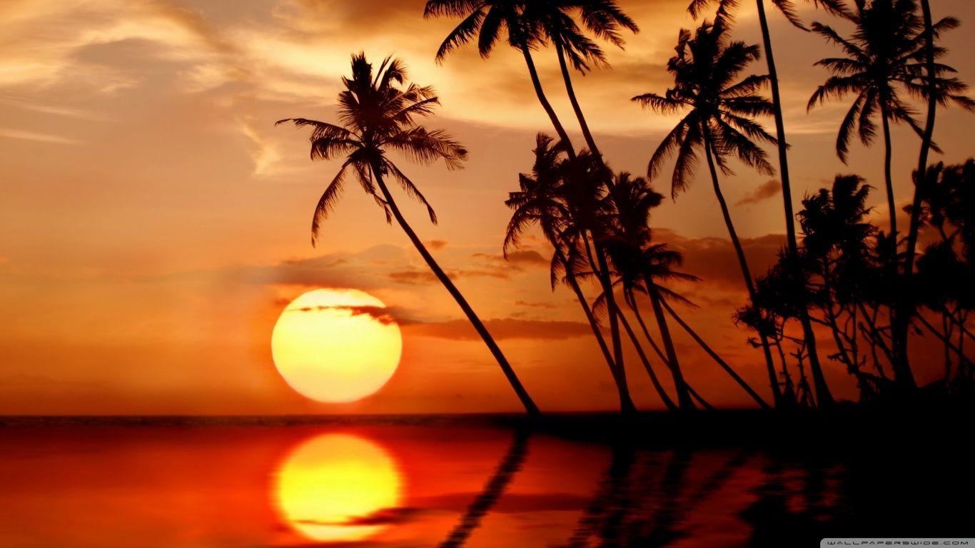 Sunset In Tropical Paradise ❤ 4K HD Desktop Wallpaper for 4K