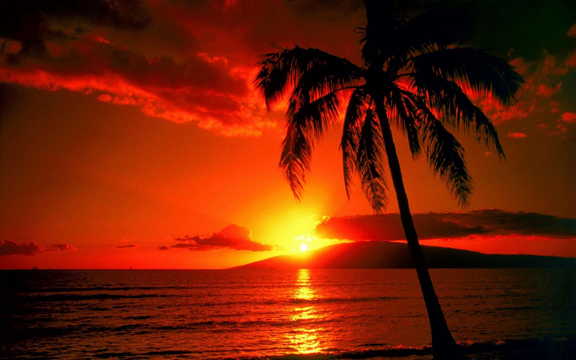 Tropical Sunset Full HD Wallpaper and Background Imagex1200