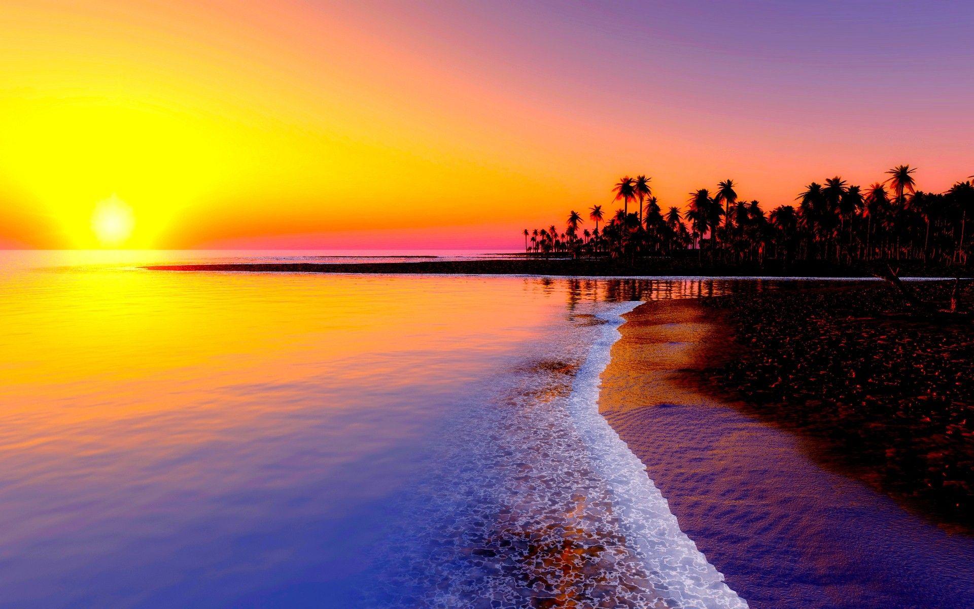 Sunset: TROPICAL SUNSET Waves Palms Beach Shore Picture Ideas