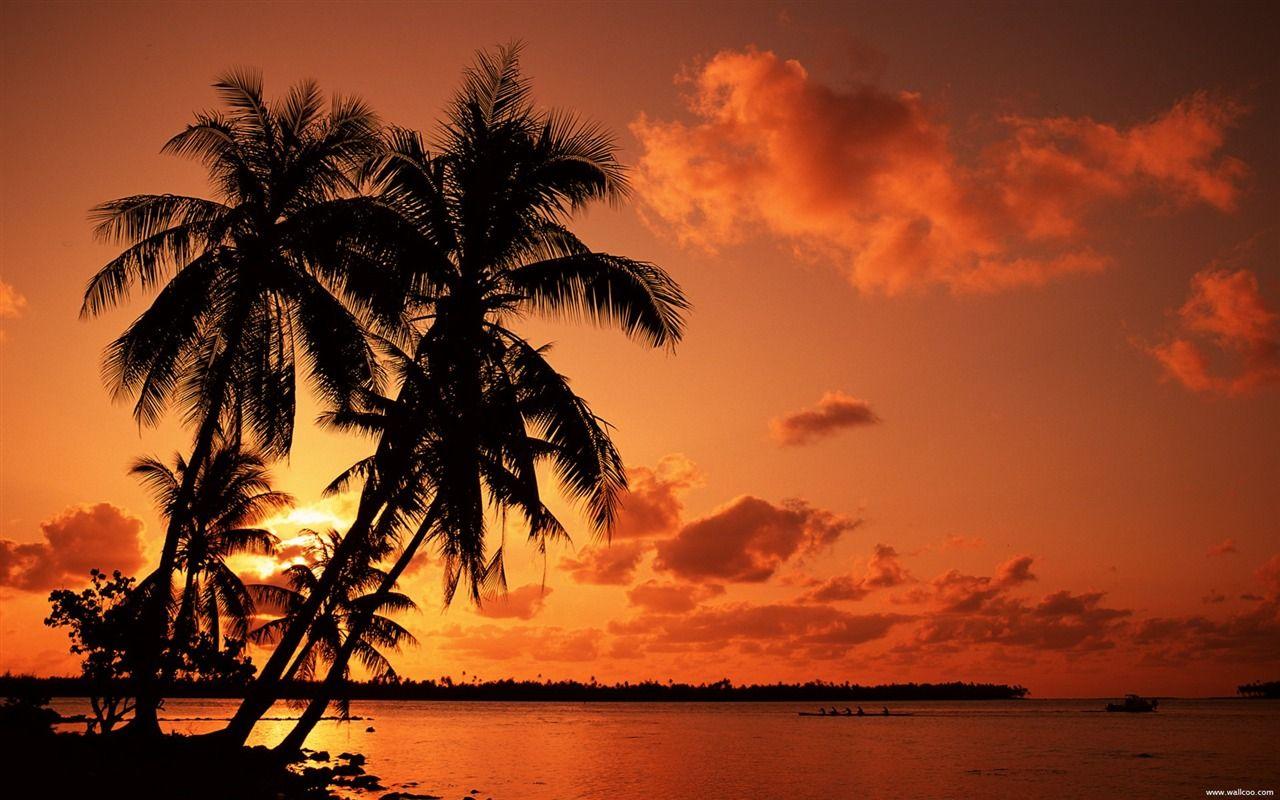 Tropical Island Sunset Wallpaper Widescreen