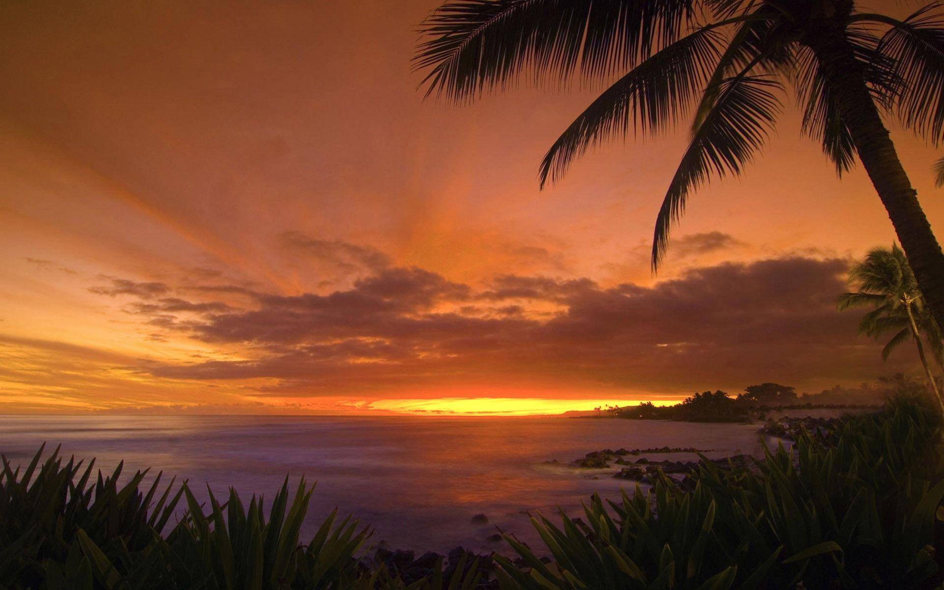 Tropical Sunset Wallpaper Landscape Nature Wallpaper in jpg format