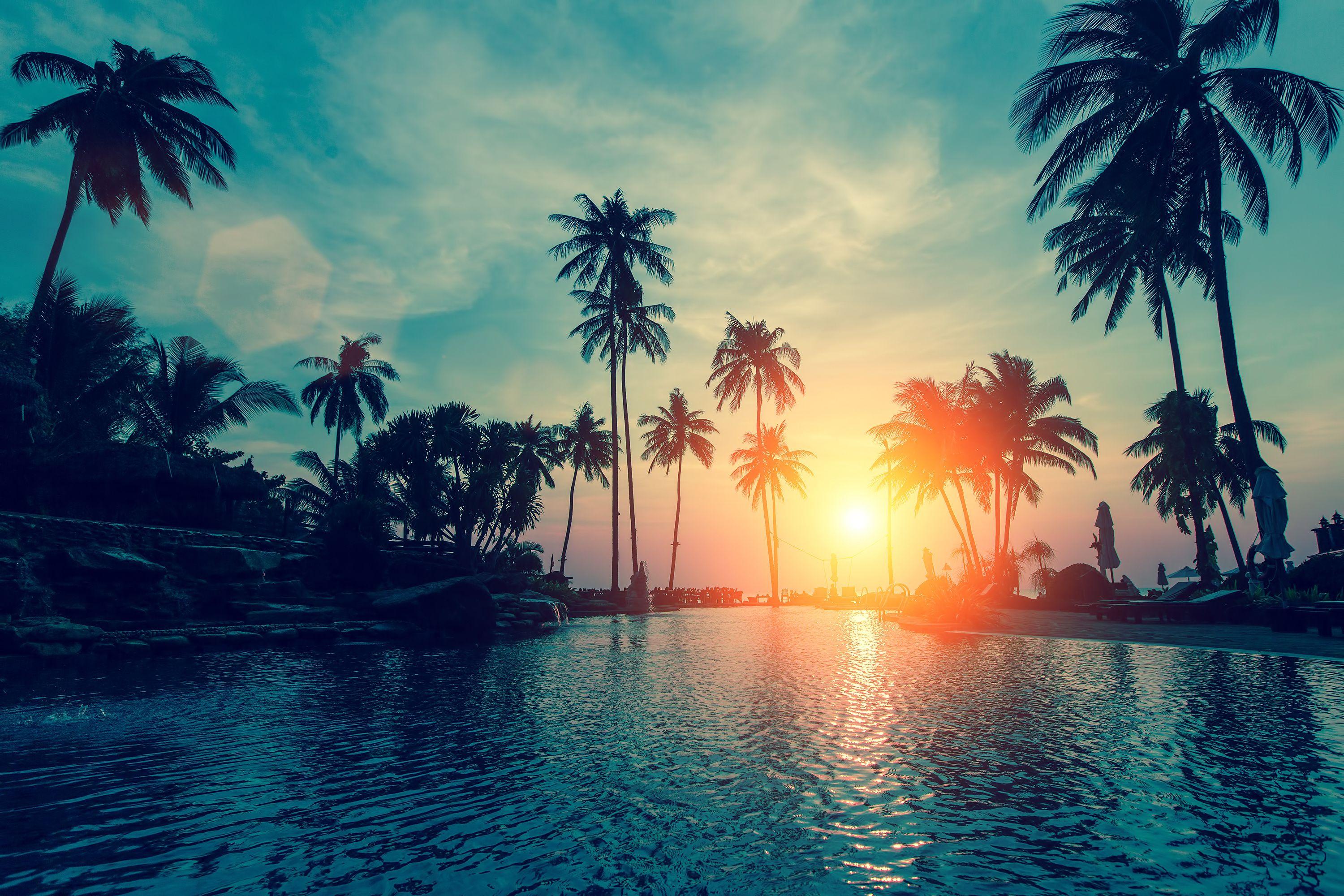Wallpaper Sunset, Palm trees, Tropical beach, HD, Nature