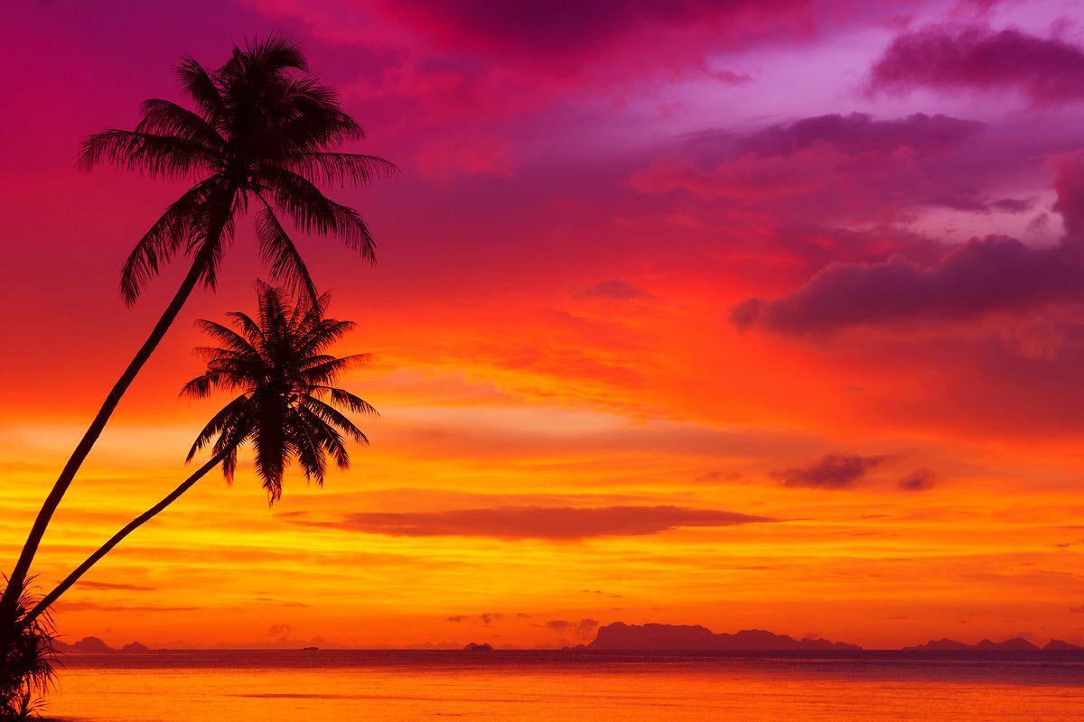 Tropical Sunset Image