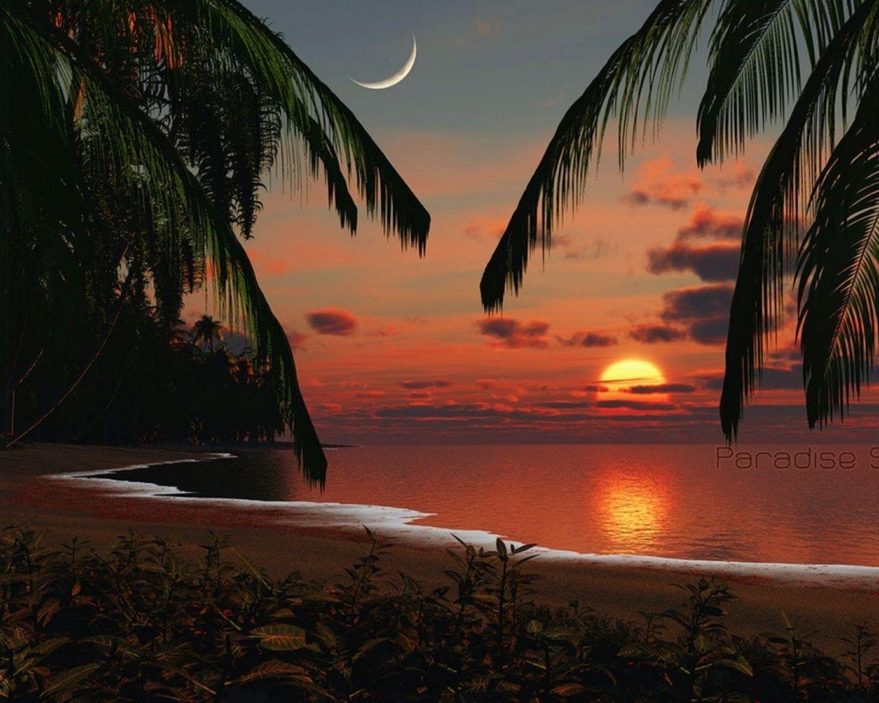 Tropical Paradise Sunset desktop PC and Mac wallpaper