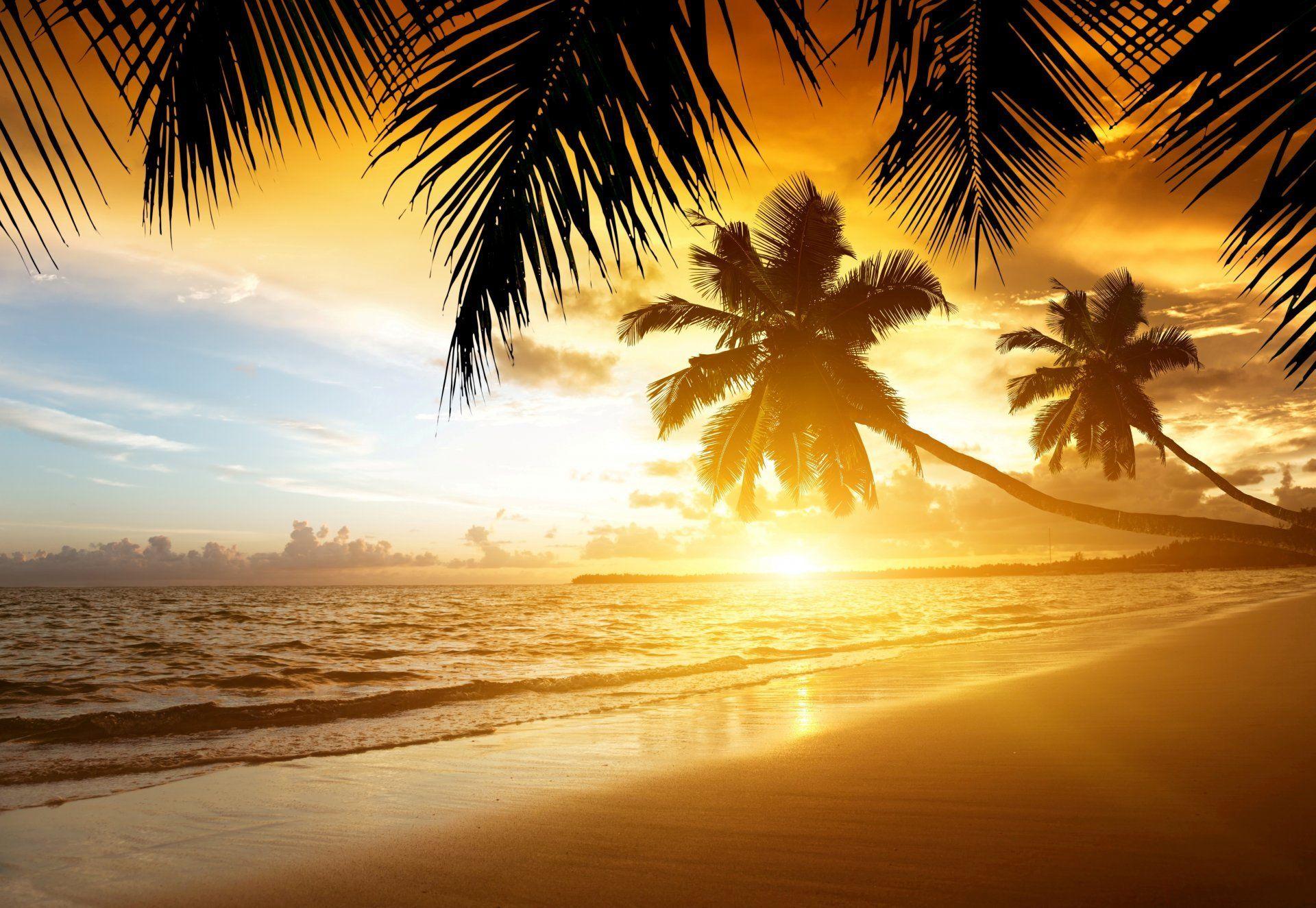 tropical sunset paradise beach coast sea ocean palm summer sand