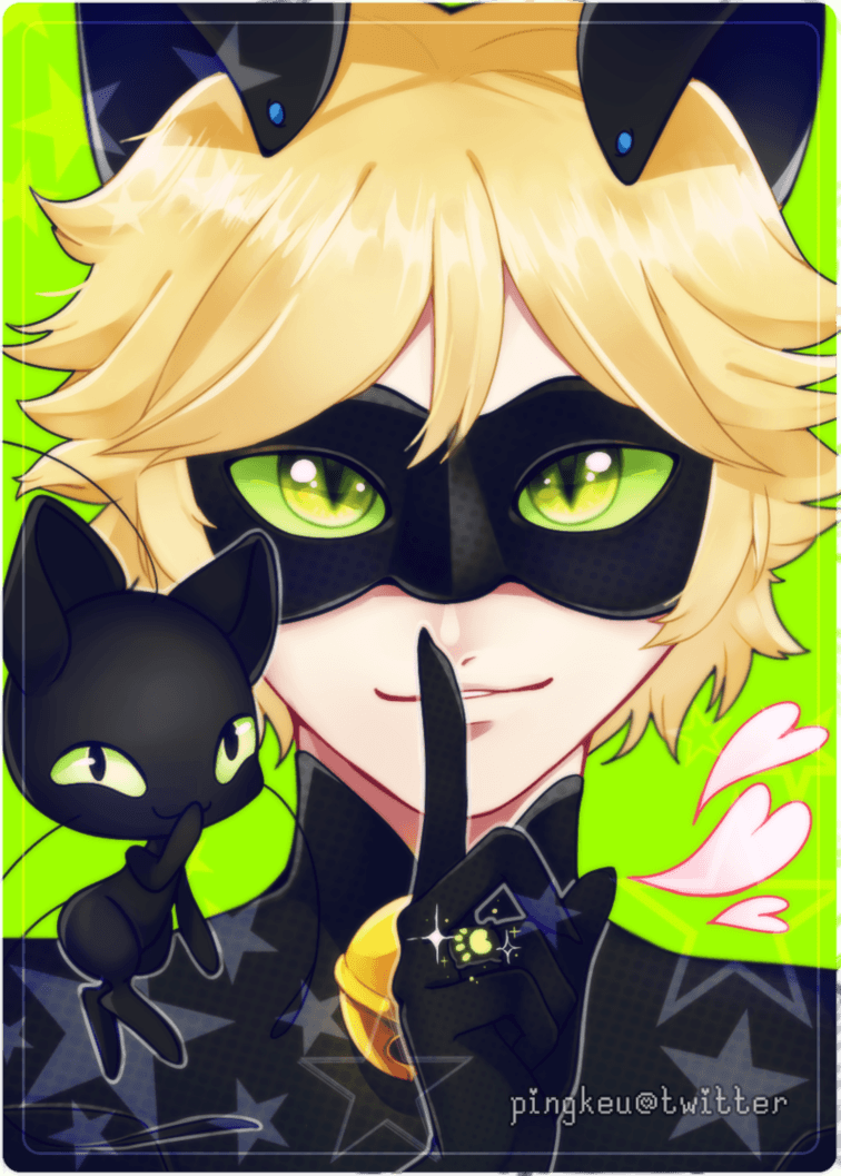 Chat Noir (by paachi) (Miraculous Ladybug). The Miraculous Tale