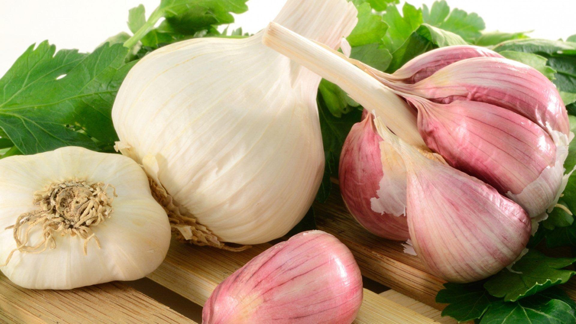 Garlic Food And Medicine HD Wallpaper