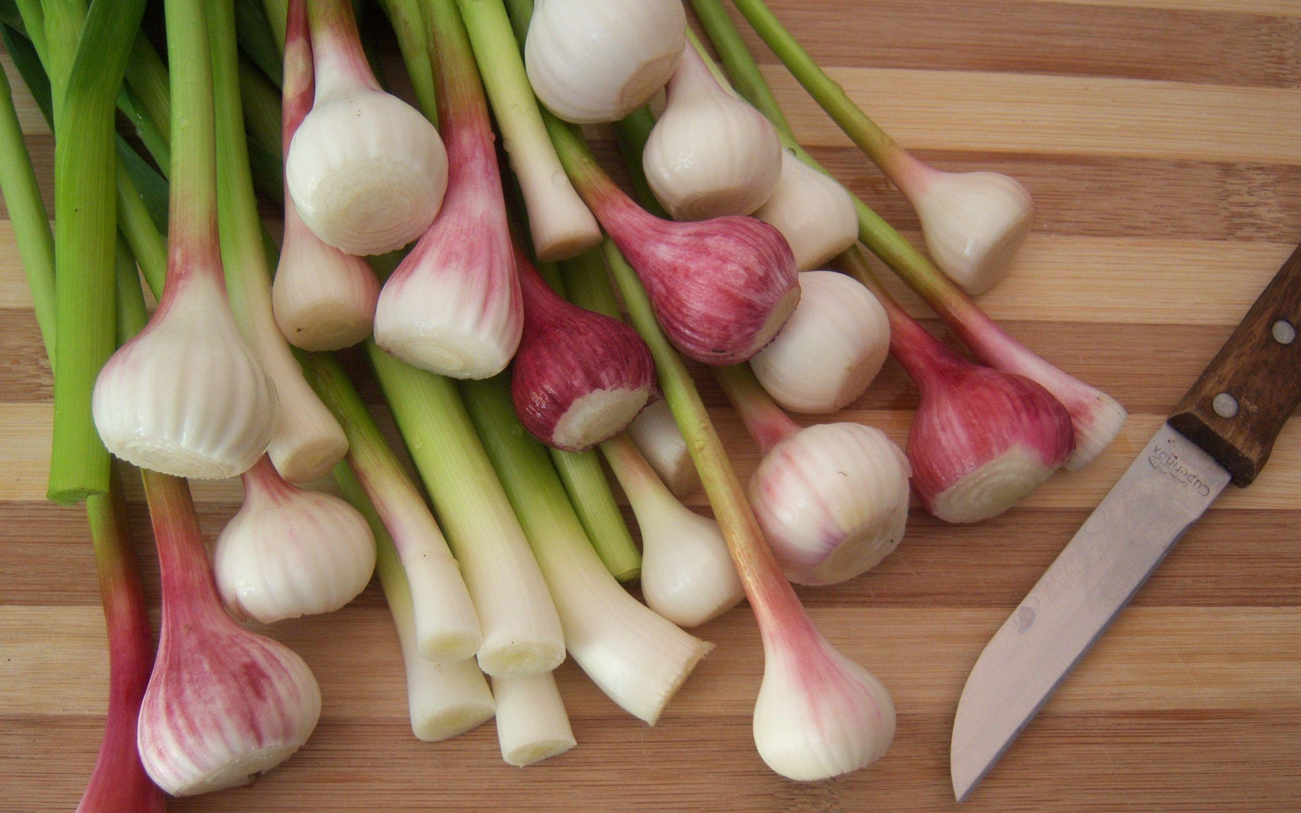 Garlic Wallpaper