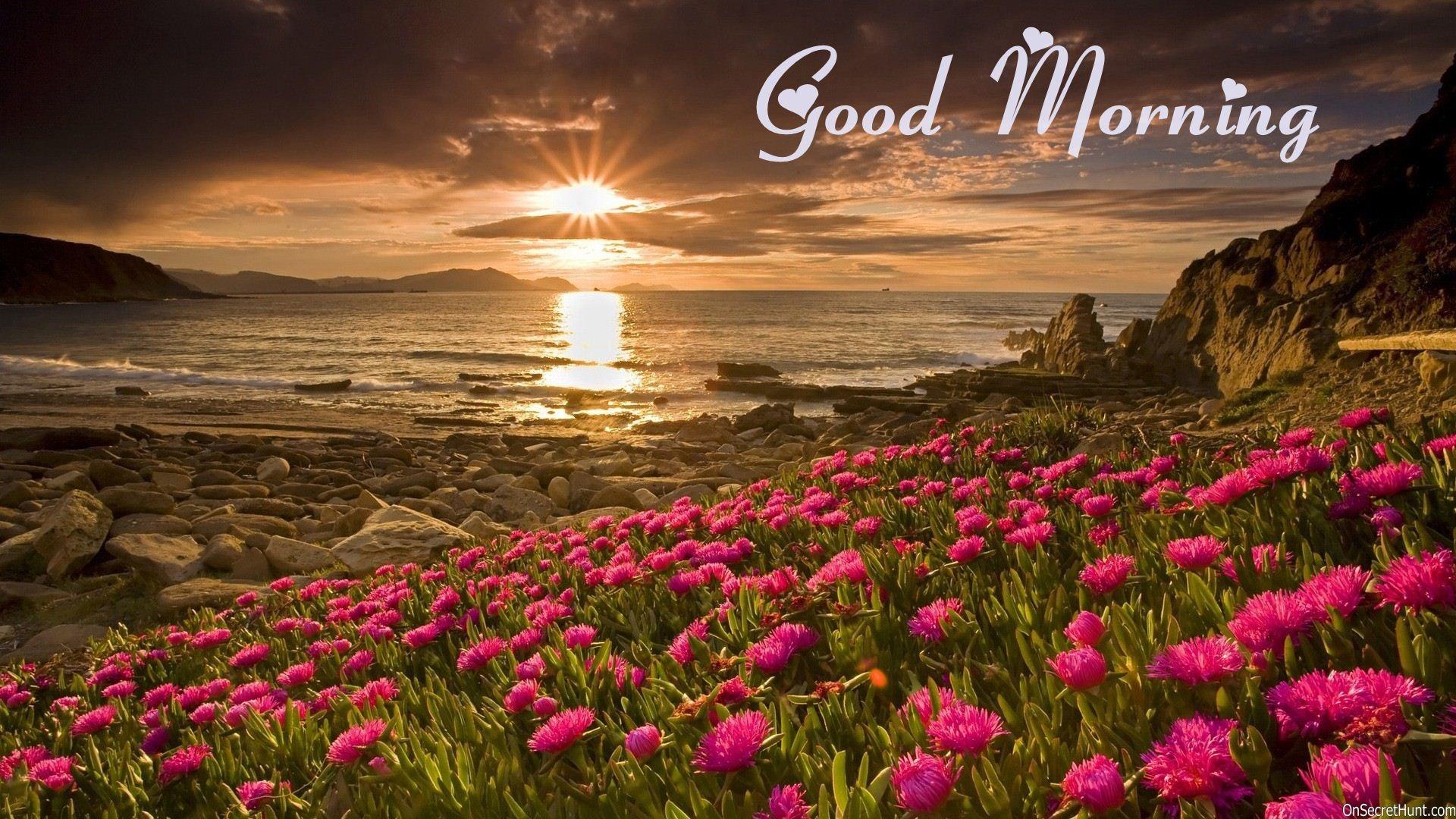 Beautiful Good Morning Wallpaper Image And Photo Free