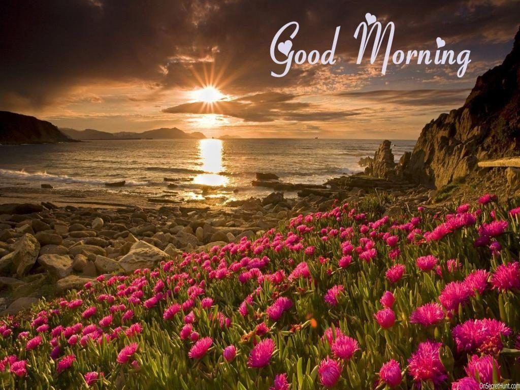 good morning 4k wallpaper download