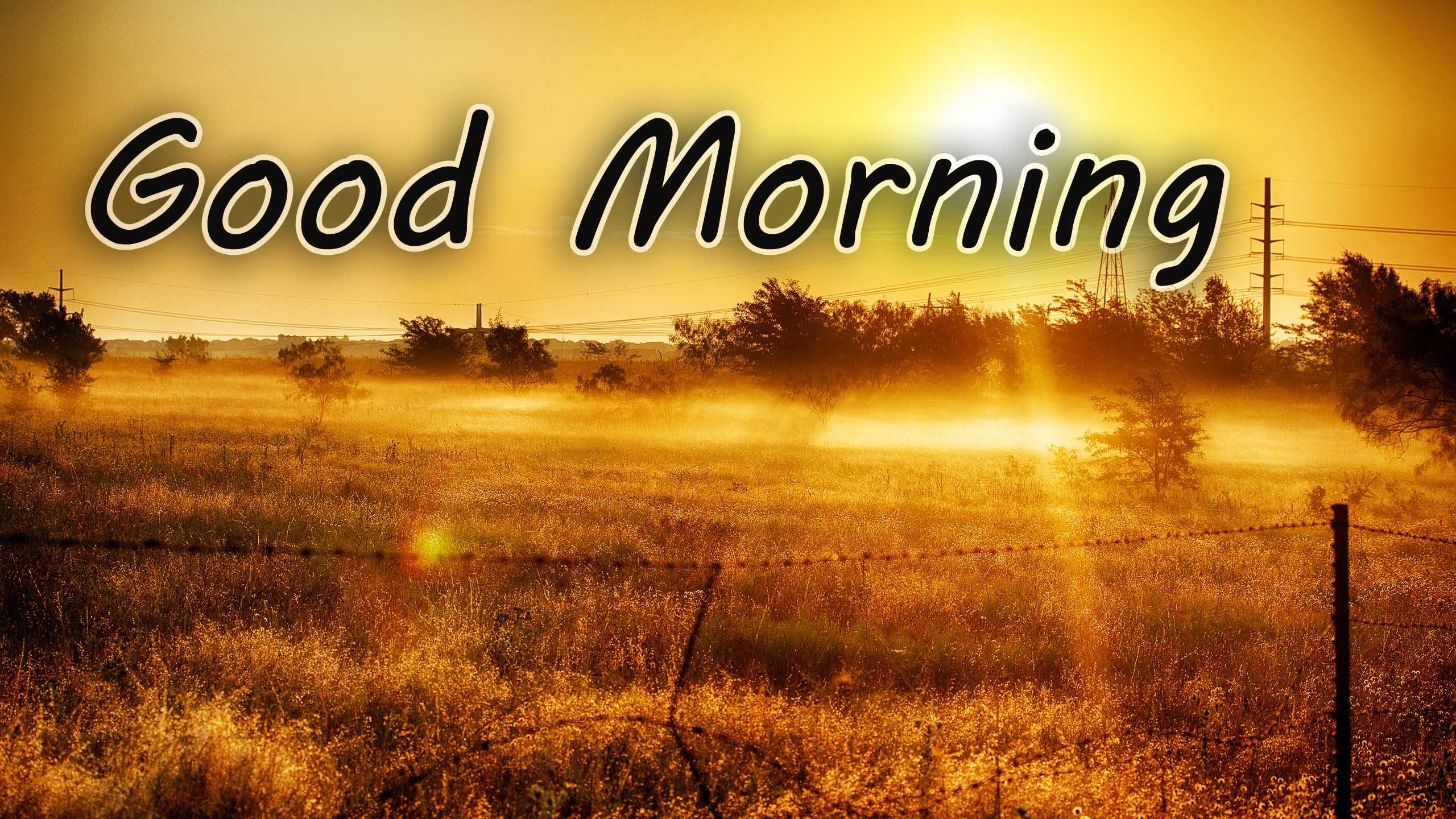 Good Morning HD Wallpaper and Image Download Free