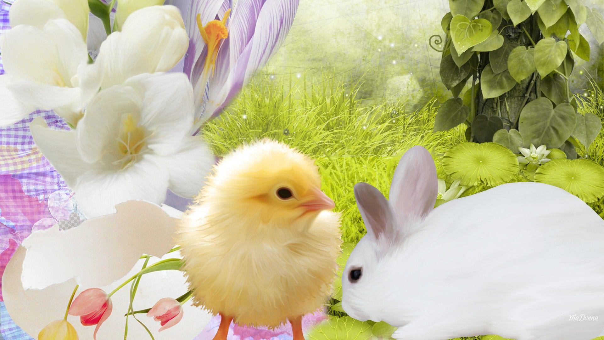 Bunny and Chick Easter Wallpaper
