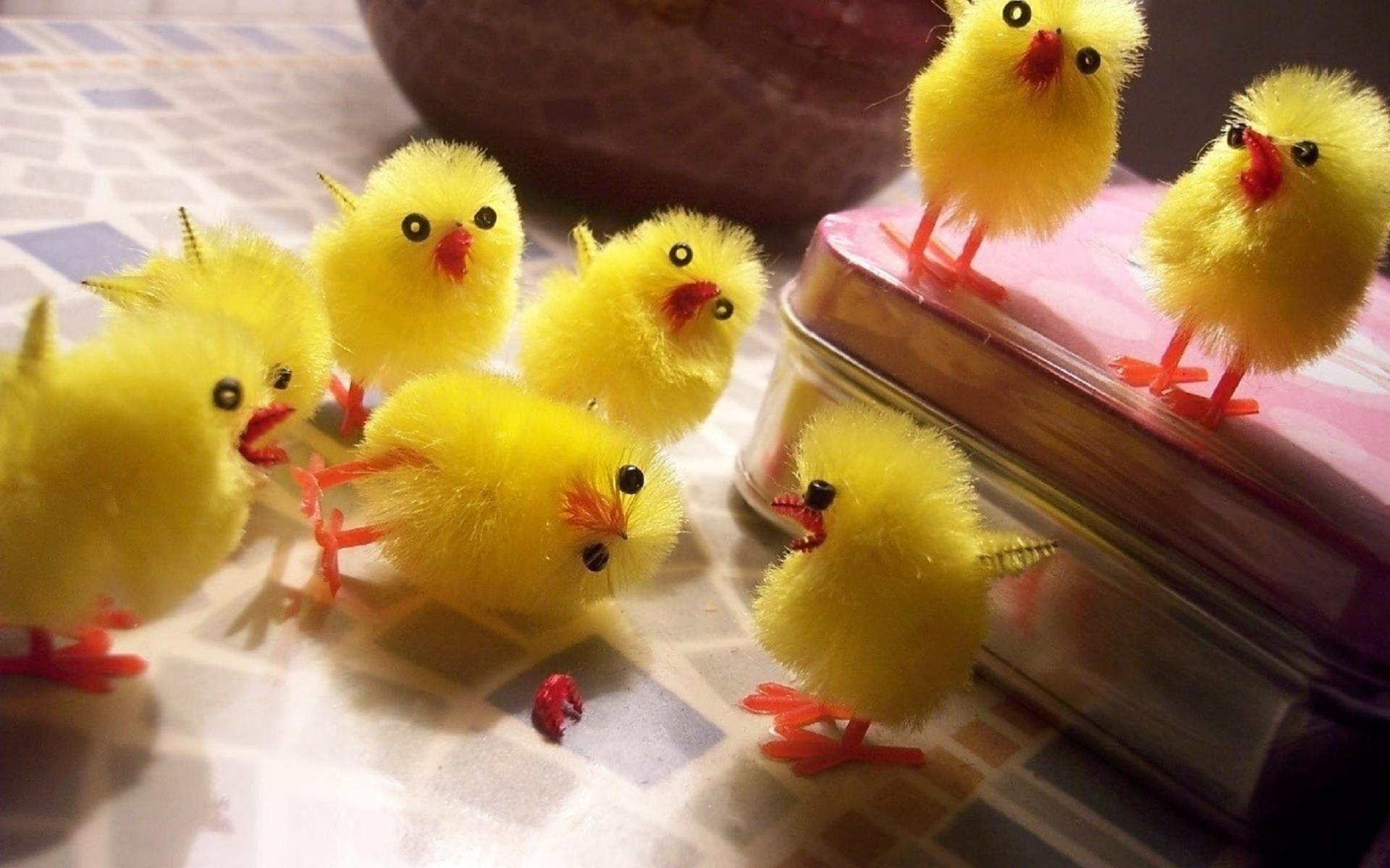 Baby Animals: Humor Toys Chickens Chicks Cute Easter Birds Image