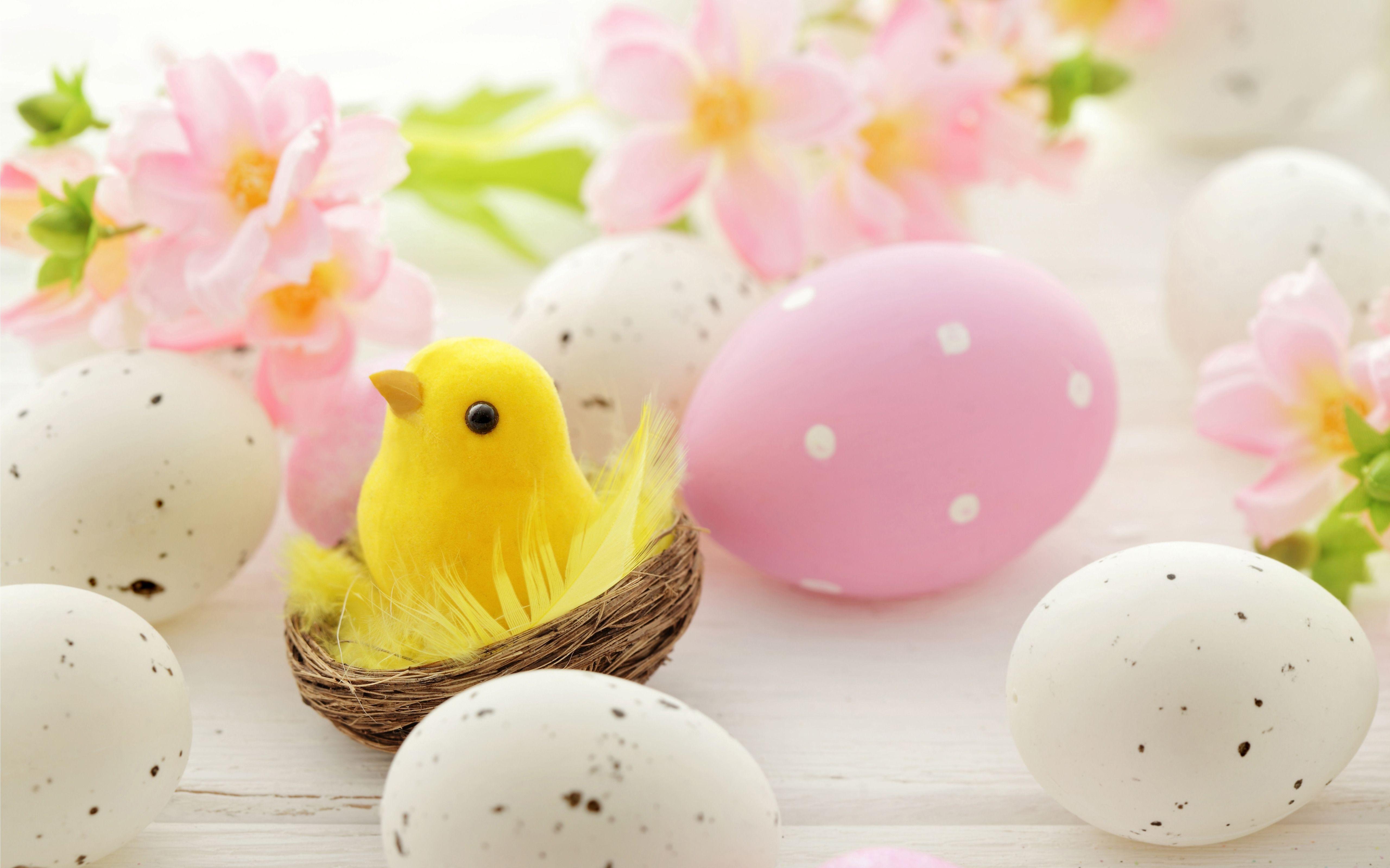 Pink and White Easter eggs, Cute Chick in Nest, Spring Flowers
