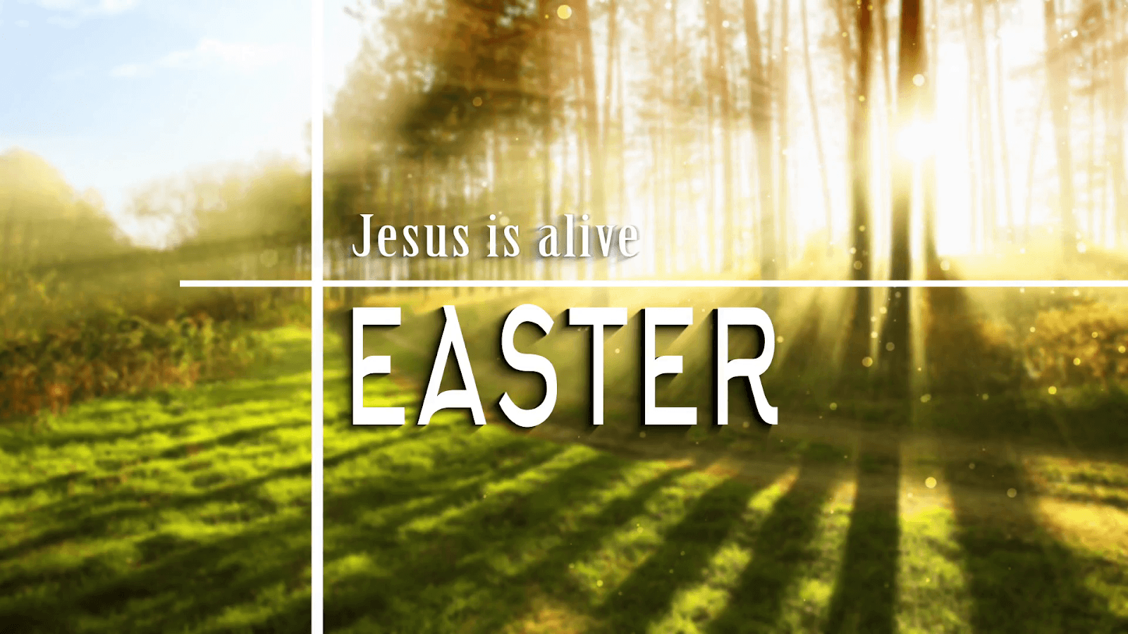 Happy Easter Image Picture Wallpaper Photo Free Download