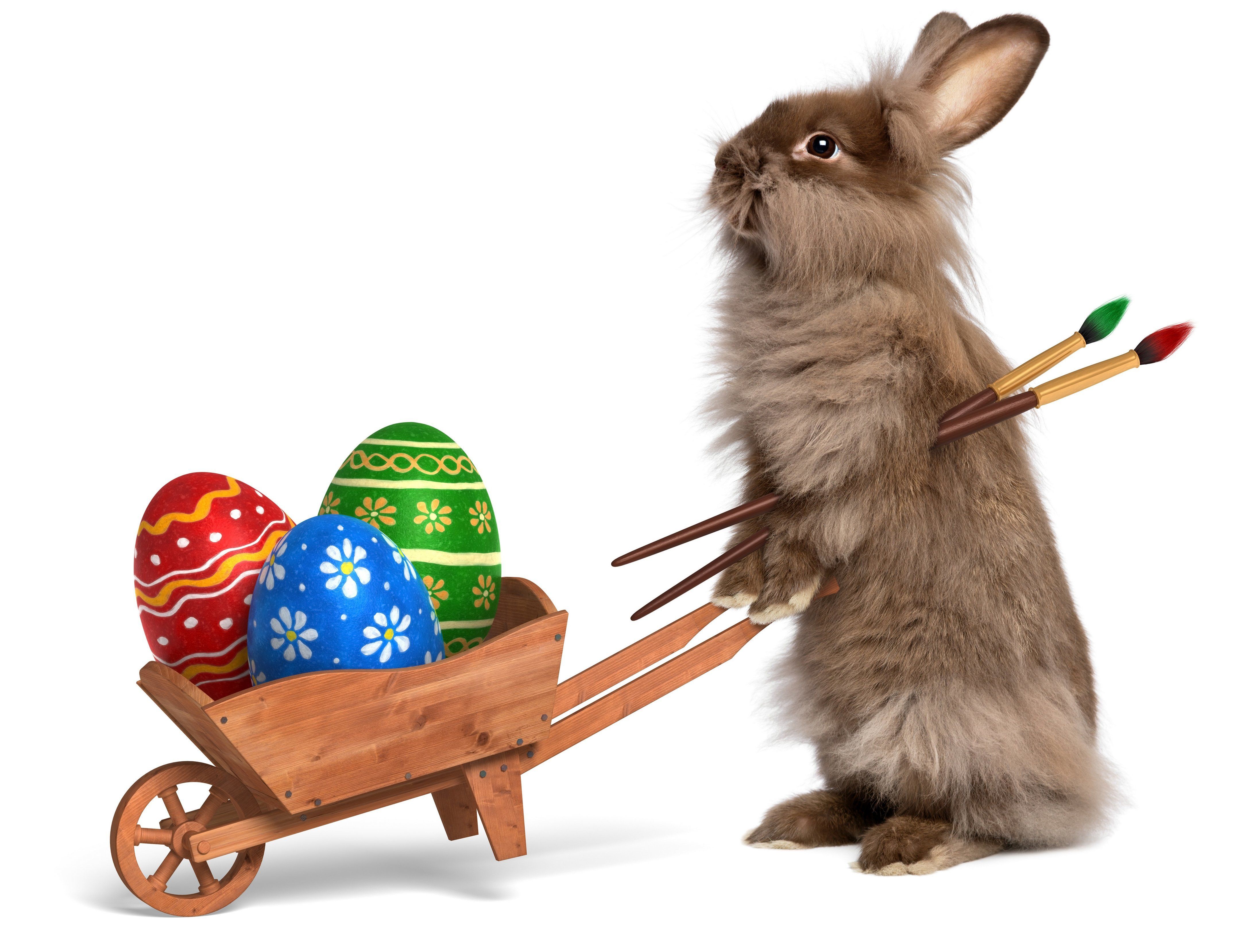 Easter bunny distributing eggs in a wheelbarrow 4k Ultra HD