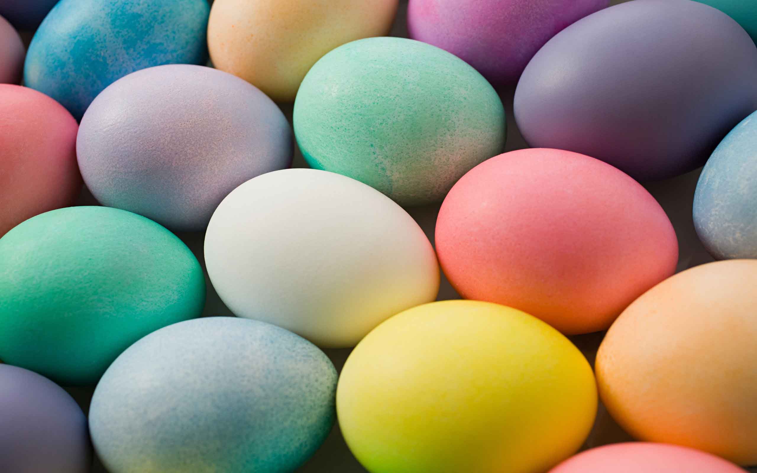 Colorful Easter Eggs Wallpaper 28245 2560x1600 px