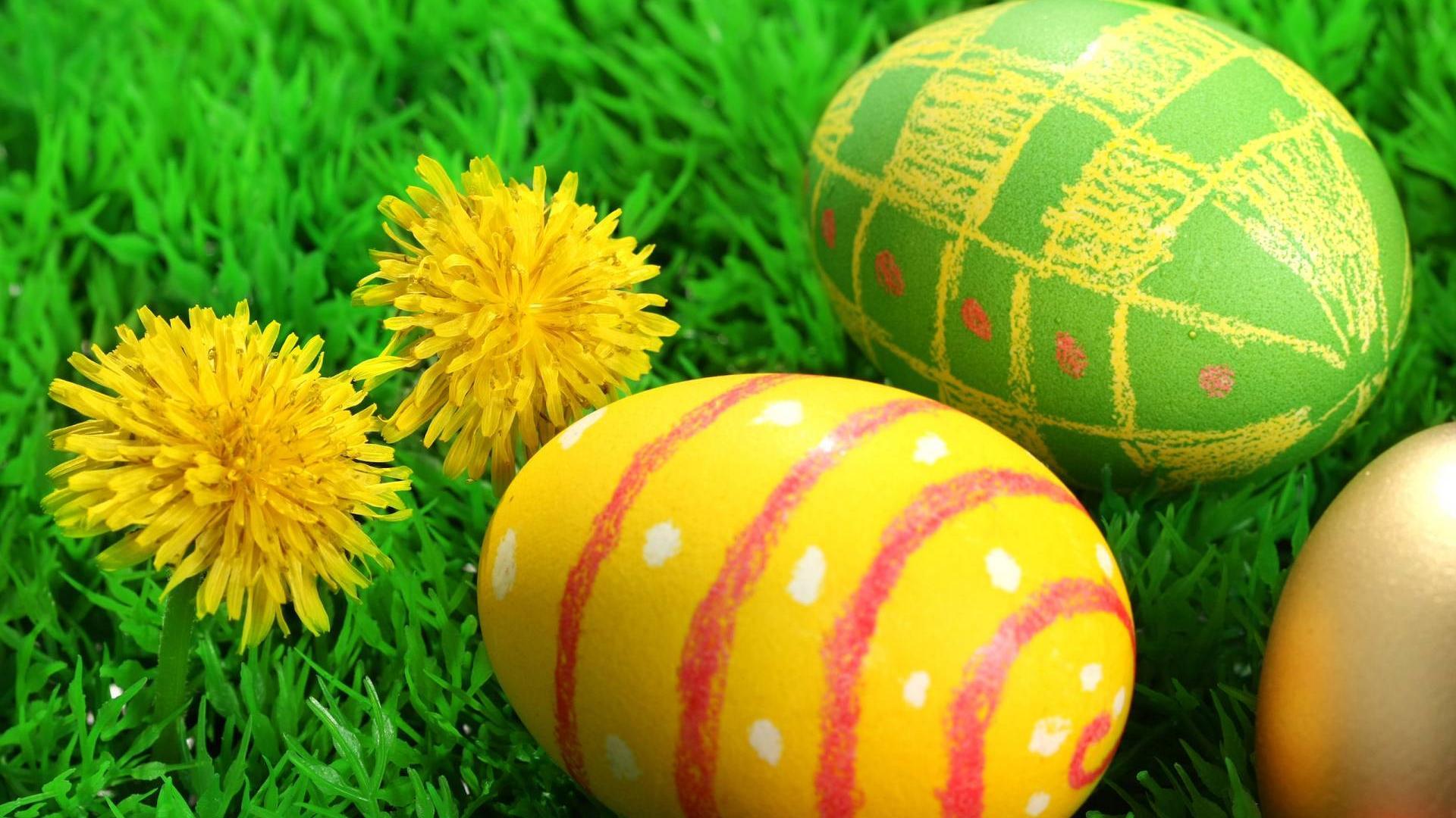 Easter Eggs 2013 HD Wallpaper of Greeting