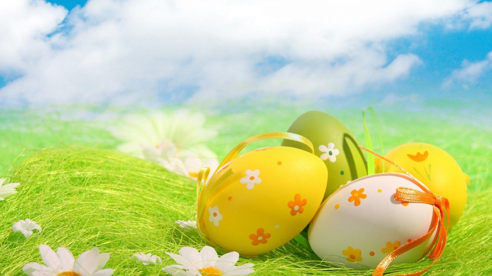 Beautiful Easter eggs under blue sky HD wallpaper file