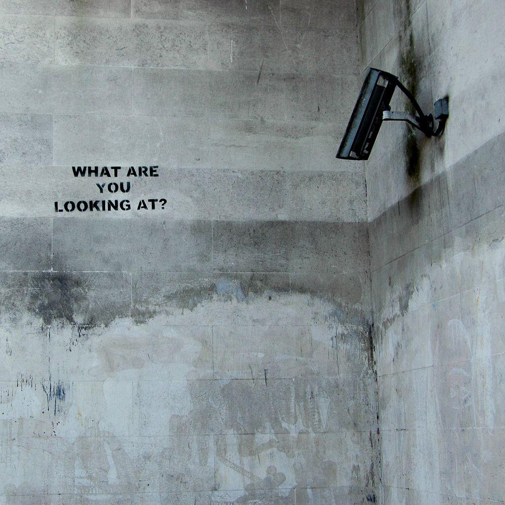 Photo What are you looking at? in the album Technology