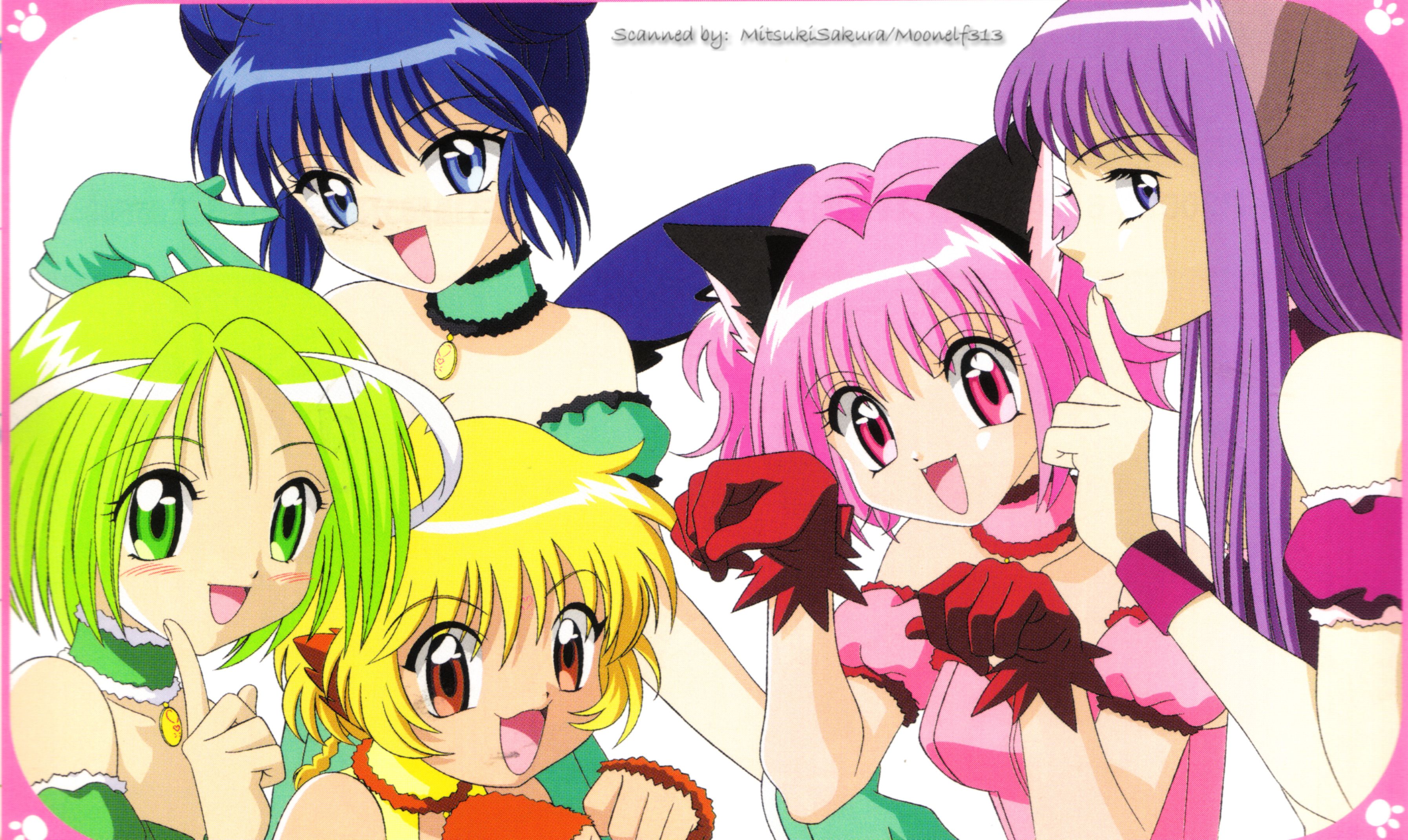 Anime Tokyo Mew Mew New ♡ HD Wallpaper by Midori_