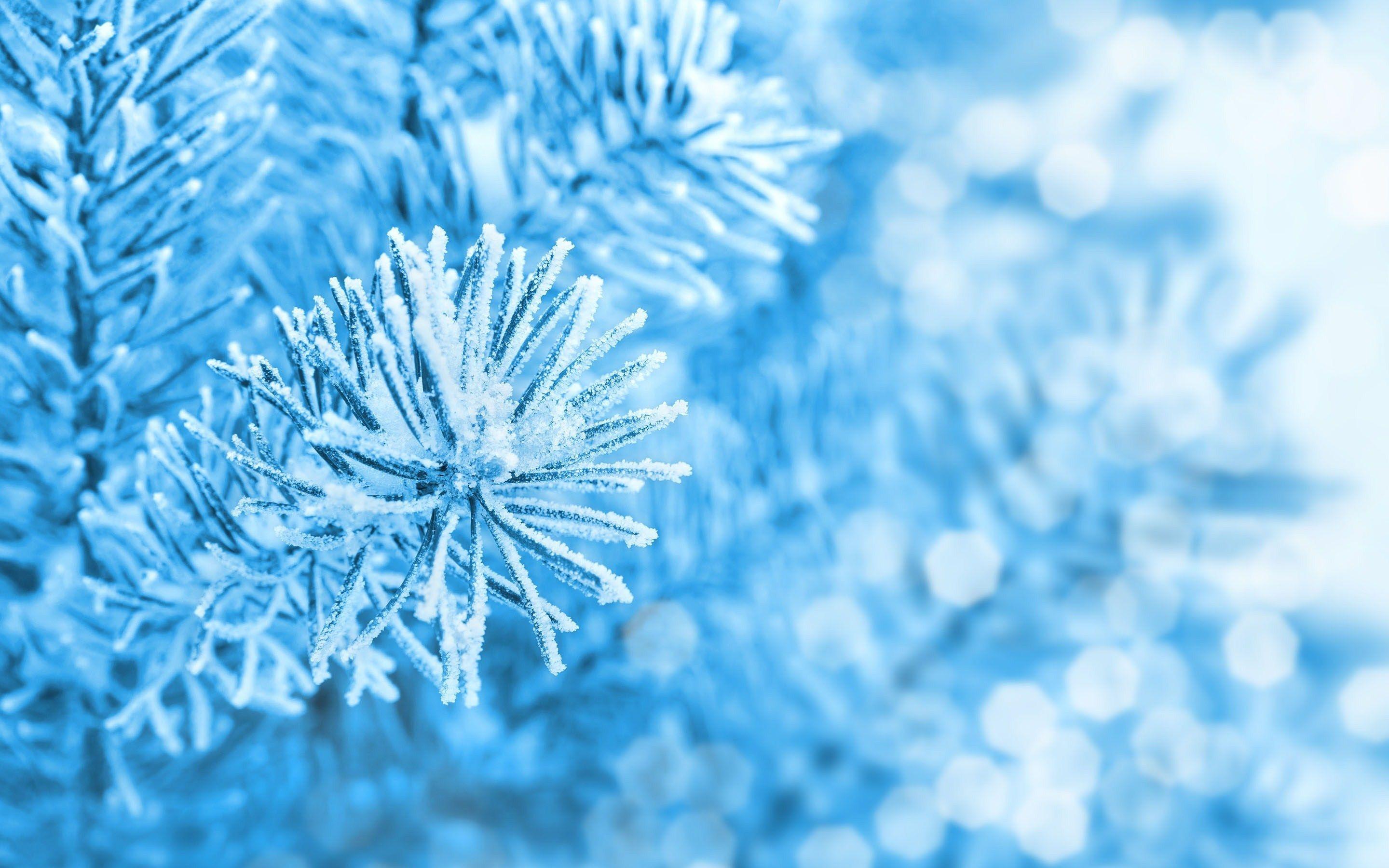 Ice HD Background