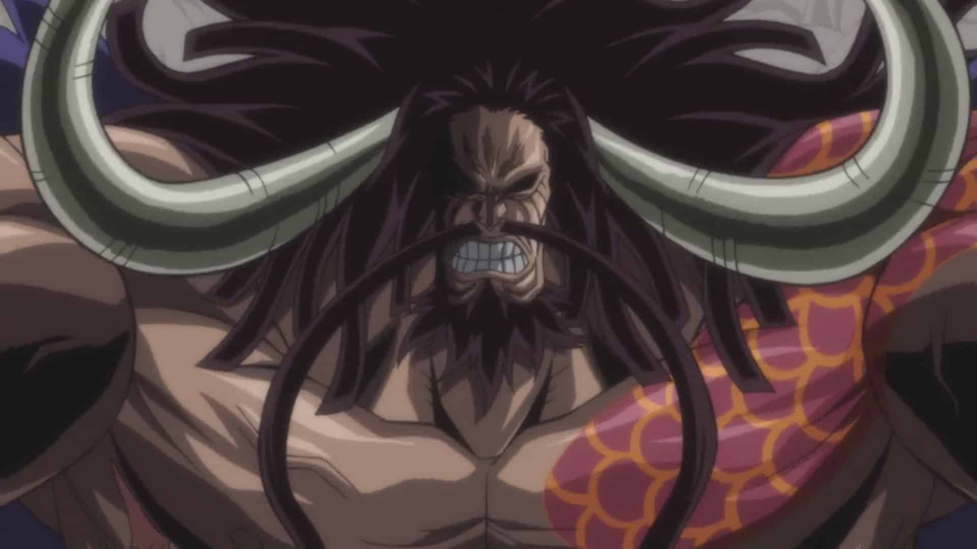 One Piece Characters Who Might've Defeated Kaido