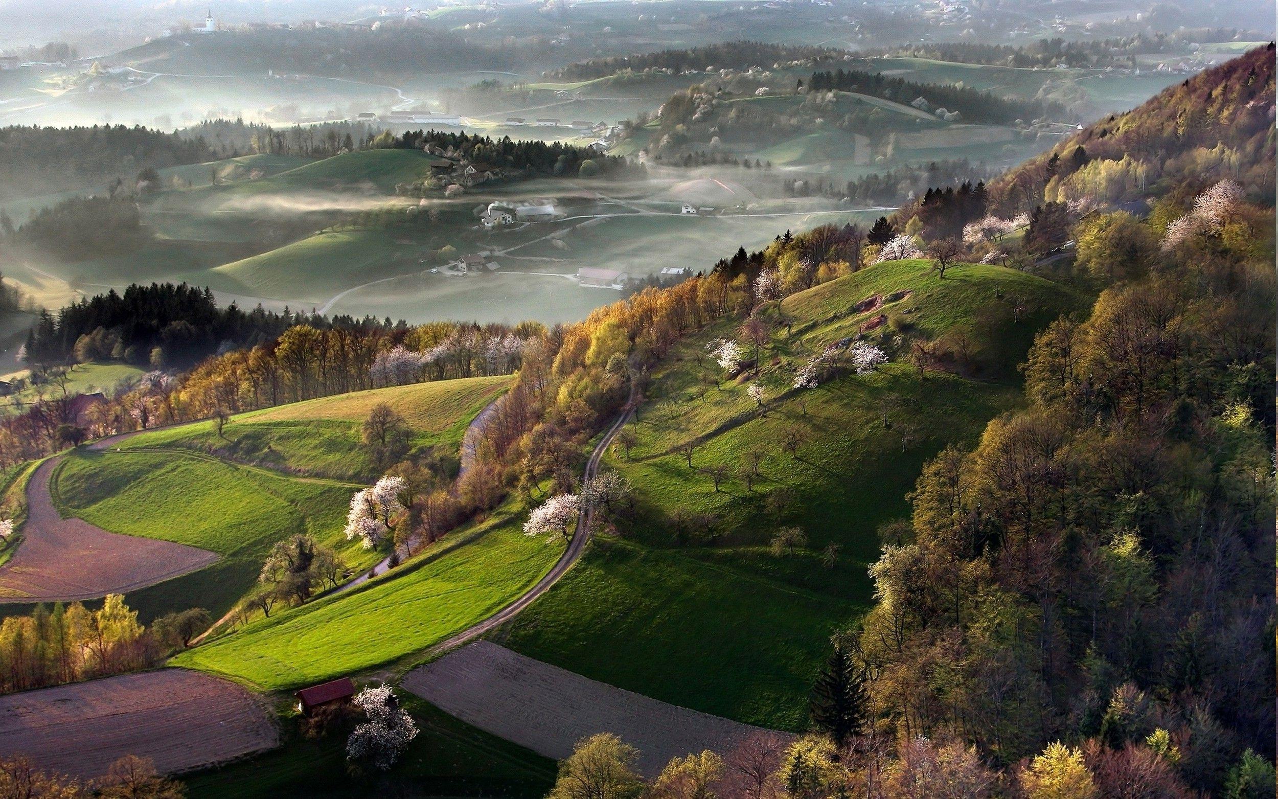 nature, Landscape, Mist, Sunrise, Spring, Slovenia, Field, Cherry