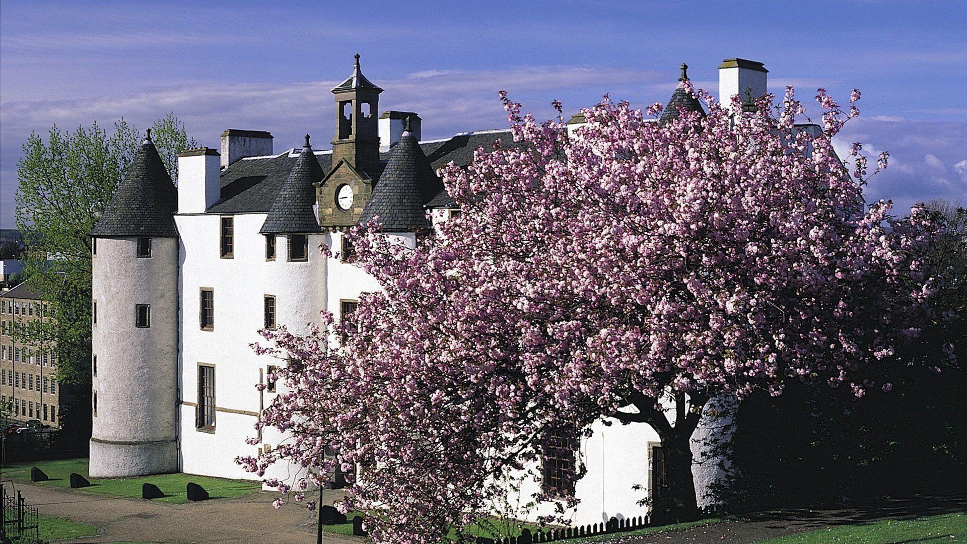 Miscellaneous: Nature Beautiful Tree Scottish Castle Trees