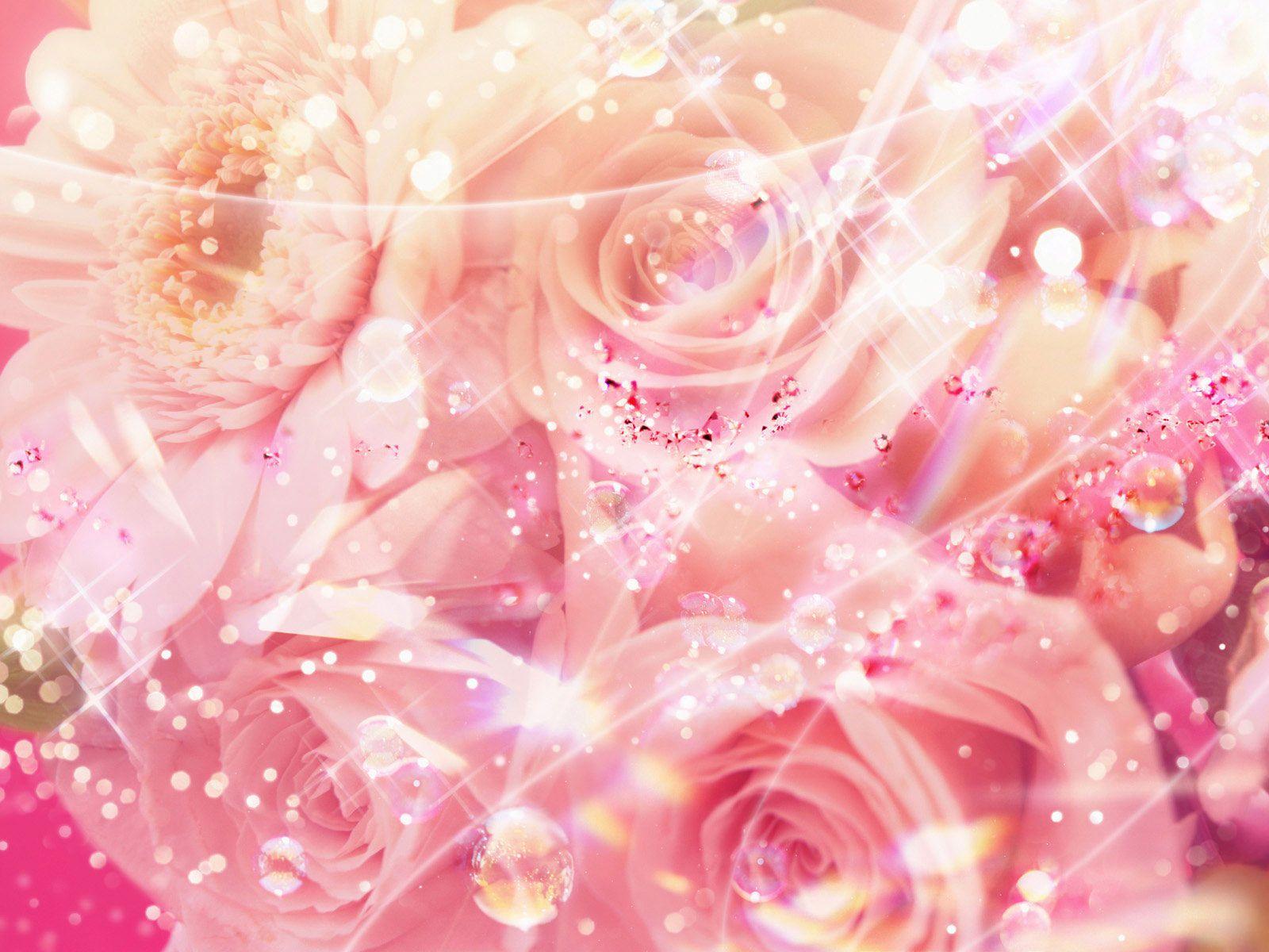 Cute Pink Roses Wallpaper