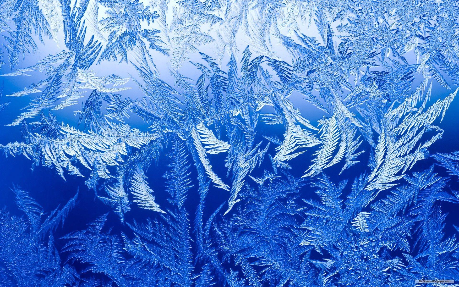 Frost Wallpaper, Frost Full HD Quality Pics.com