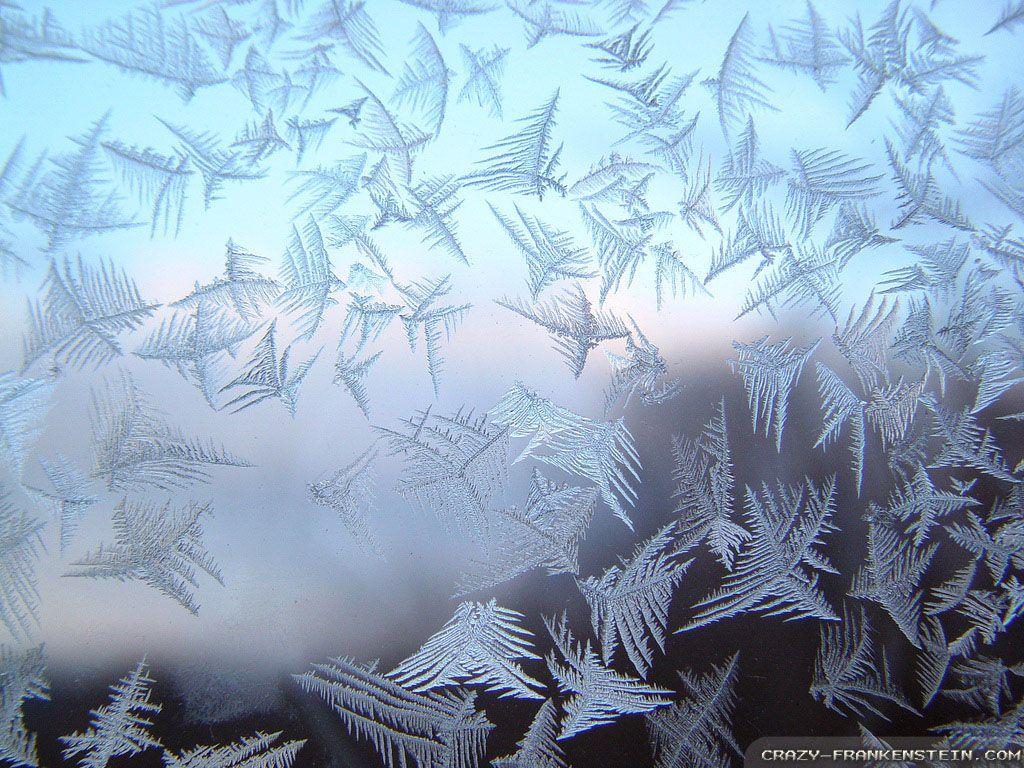 Frost wallpaper
