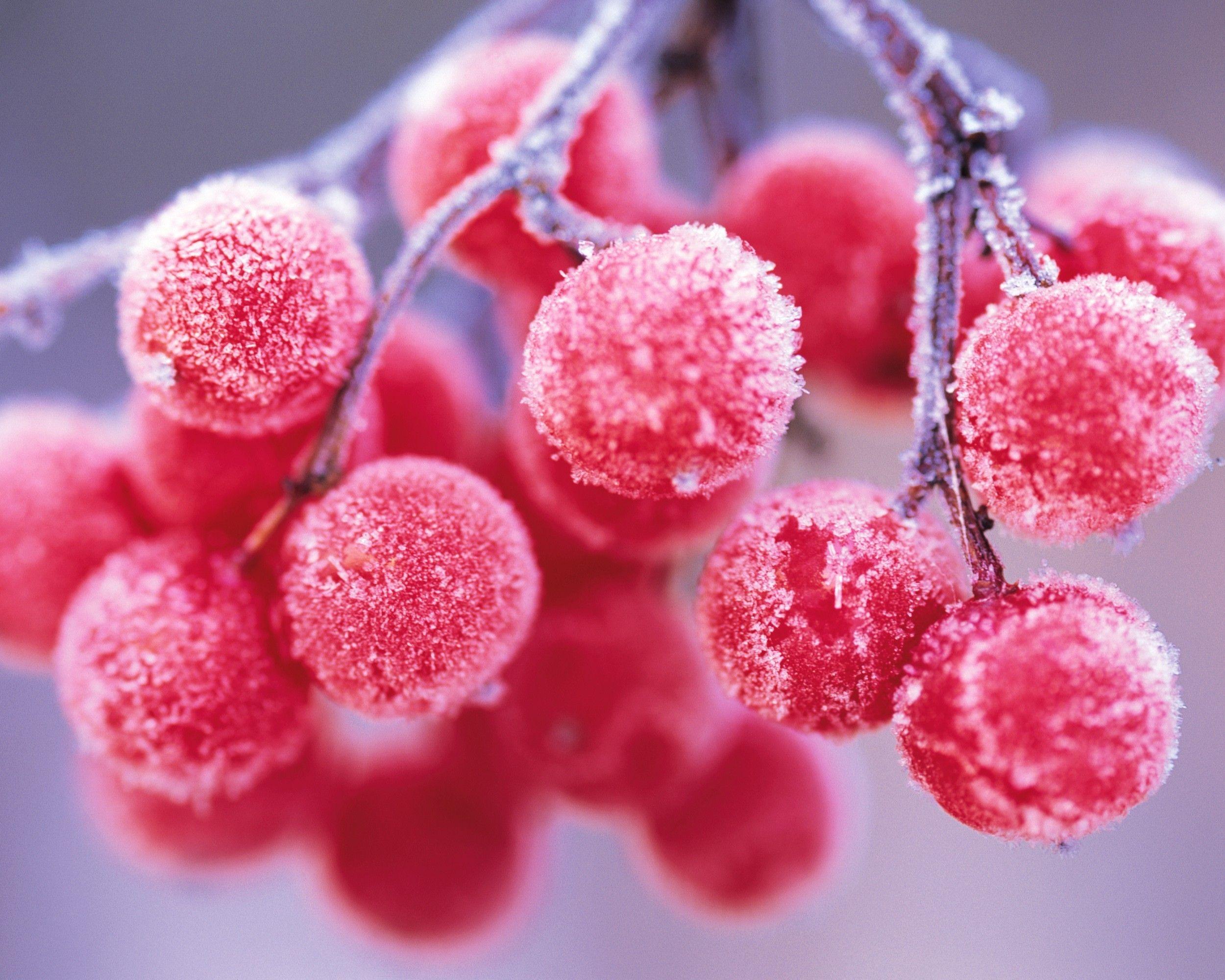 Frost fruits grapes wallpaper. PC