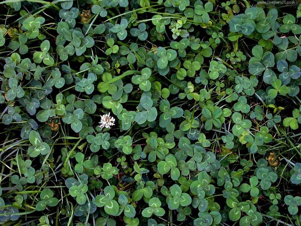 Wallpaper Tagged With Irish: Dunloe Ireland Travel Gap Tourism