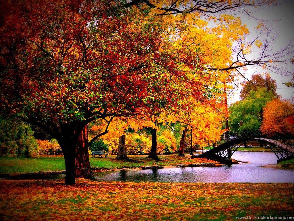 HD Fall Season Wallpaper Desktop Background