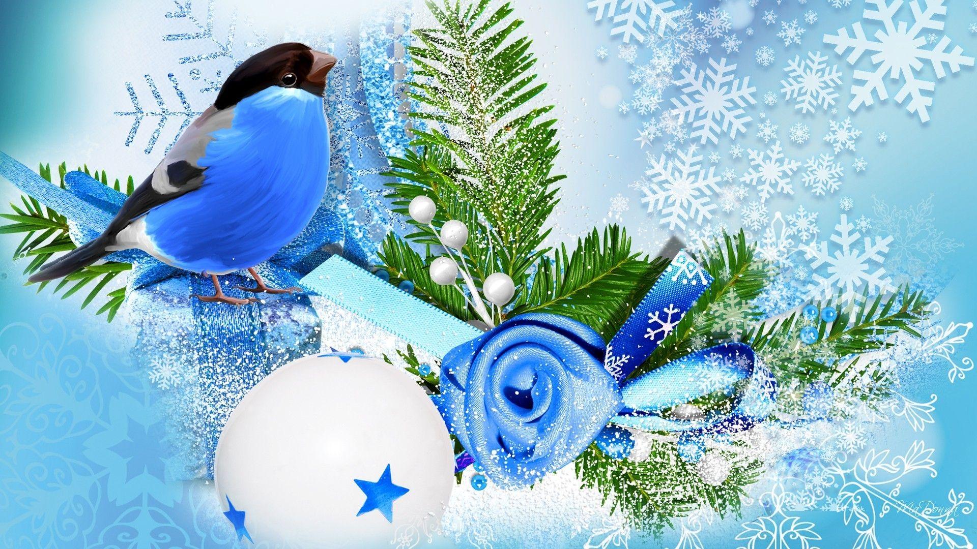 Blue bird winter season wallpaper. PC