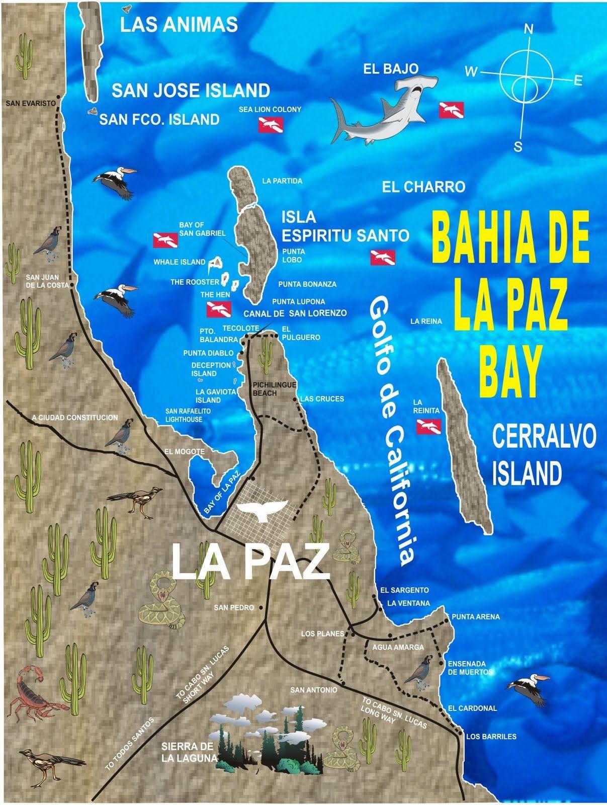 La Paz Baja California Mexico.. CALIFORNIO: LA PAZ, BAJA