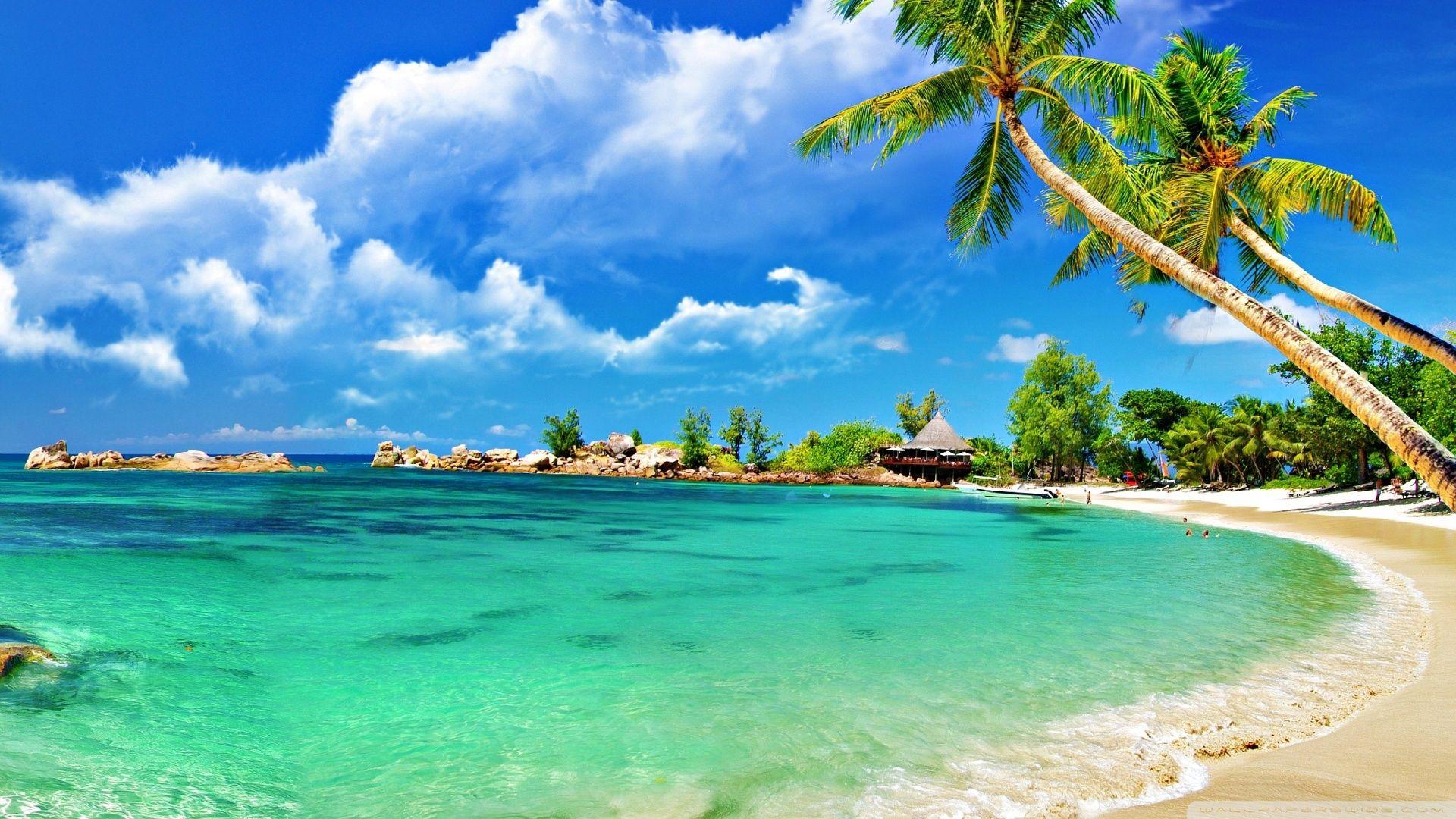 Awesome Tropical Beach ❤ 4K HD Desktop Wallpaper for 4K Ultra HD