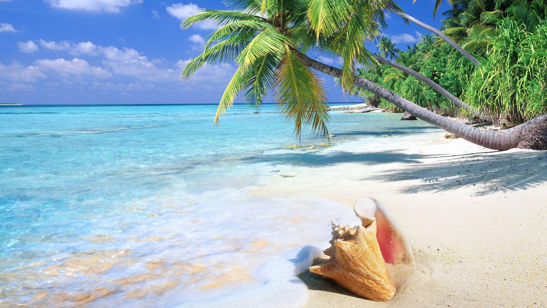 Free Tropical Beach Wallpaper Desktop Background