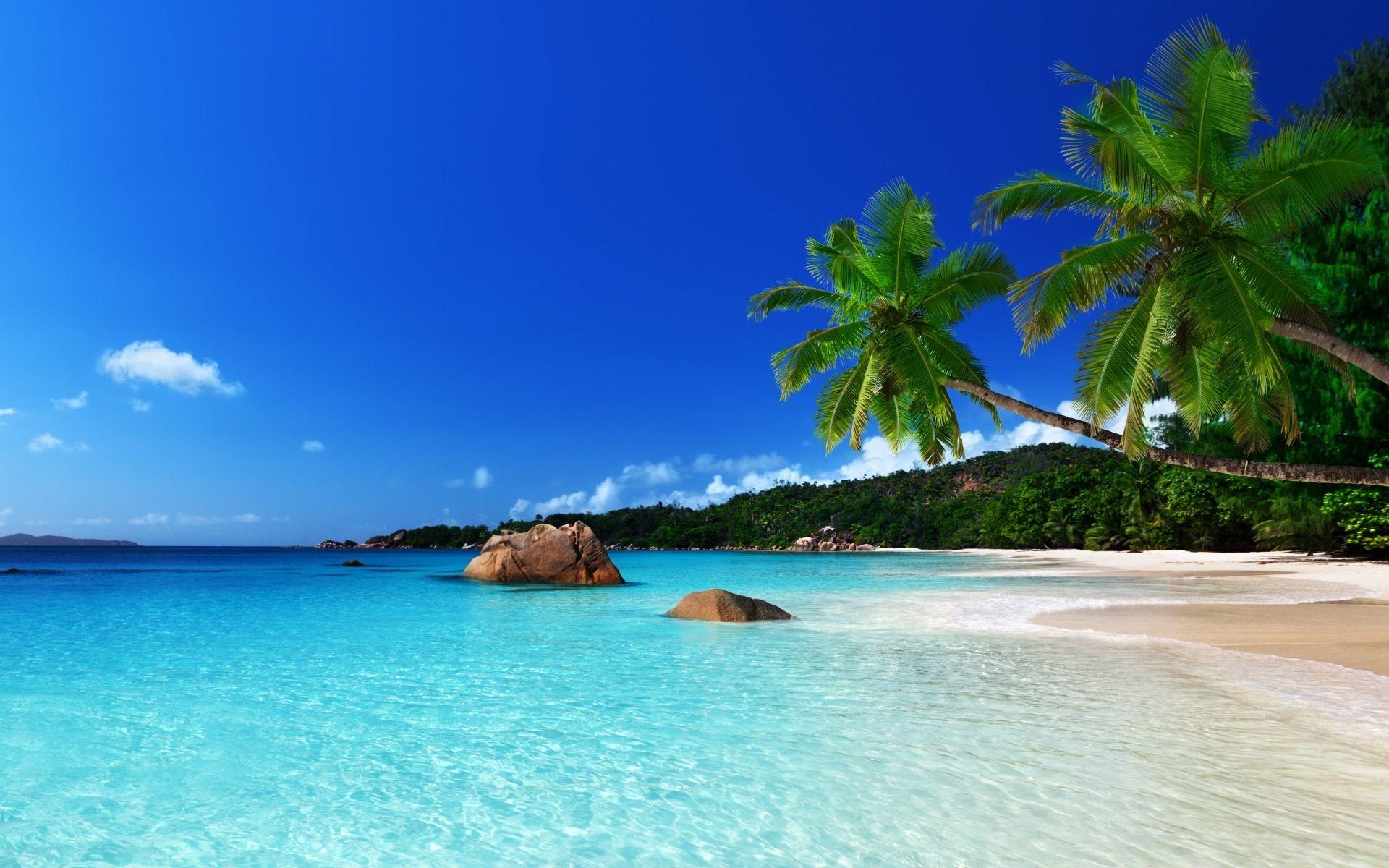 Tropical Island Full HD Wallpaper And Background Imagex1200