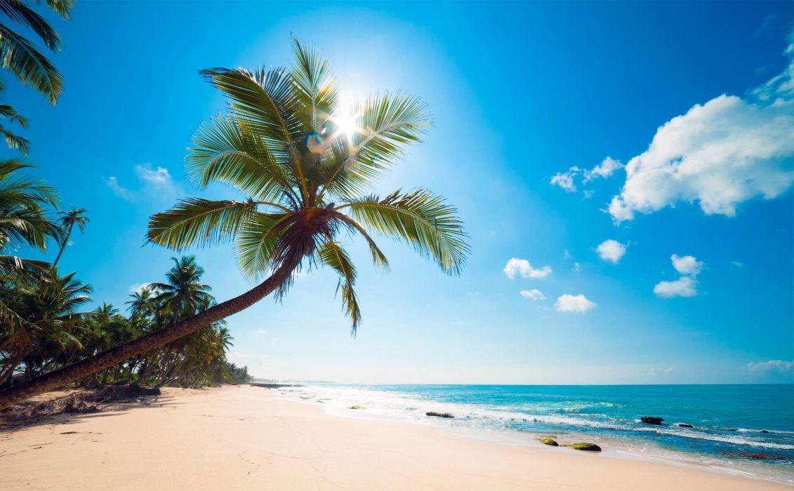Ocean palm trees beach shore tropics wallpaperx1837