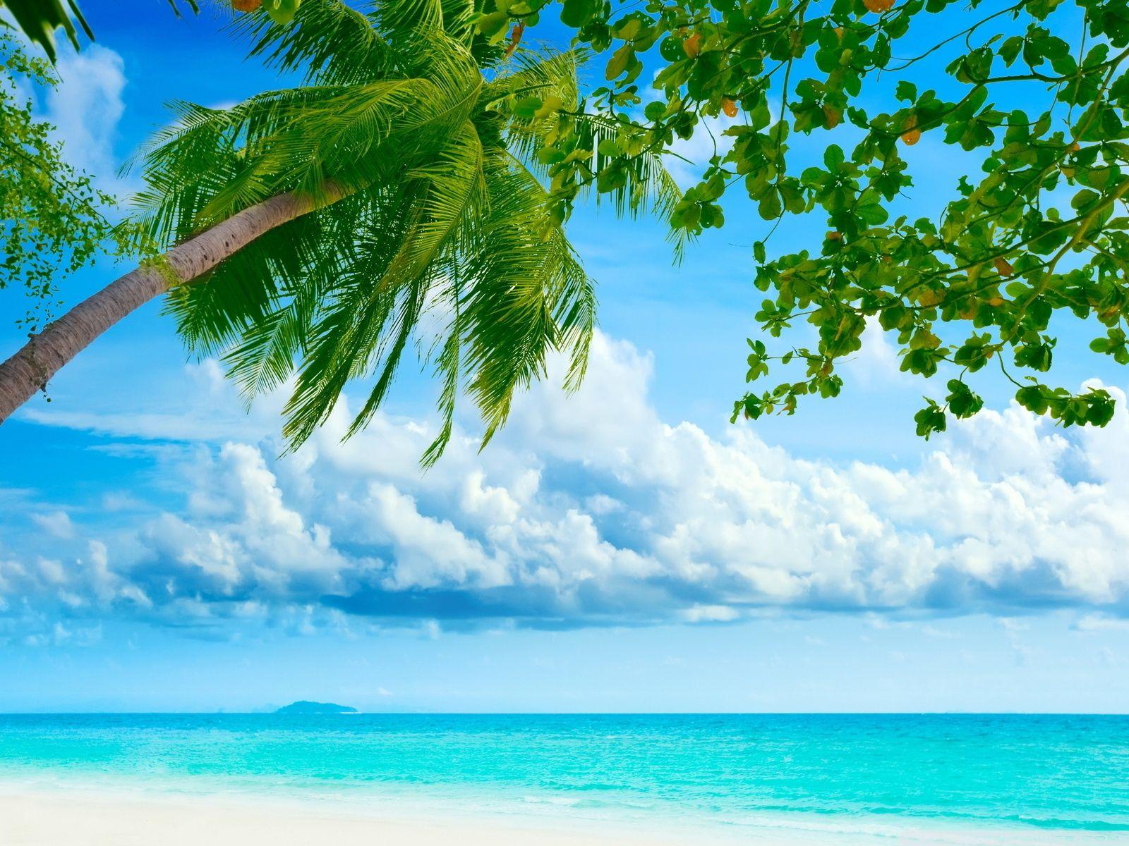 Tropical Beach Resorts Ultra HD Desktop Background Wallpaper