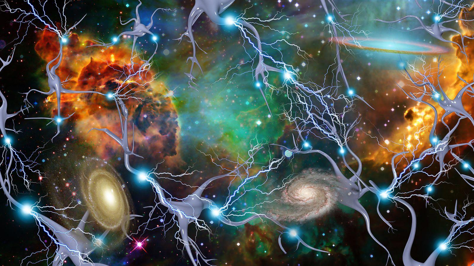 Neuroscience Wallpaper By Reina