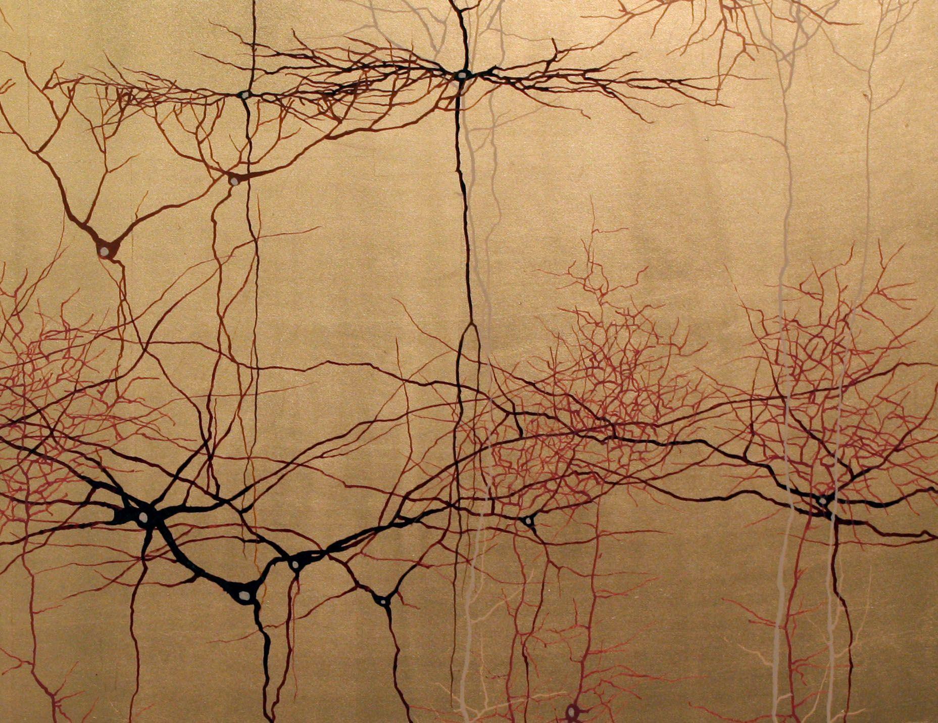 Gallery: Neuroscience Meets Visual Art. Anatomy art, Drawings