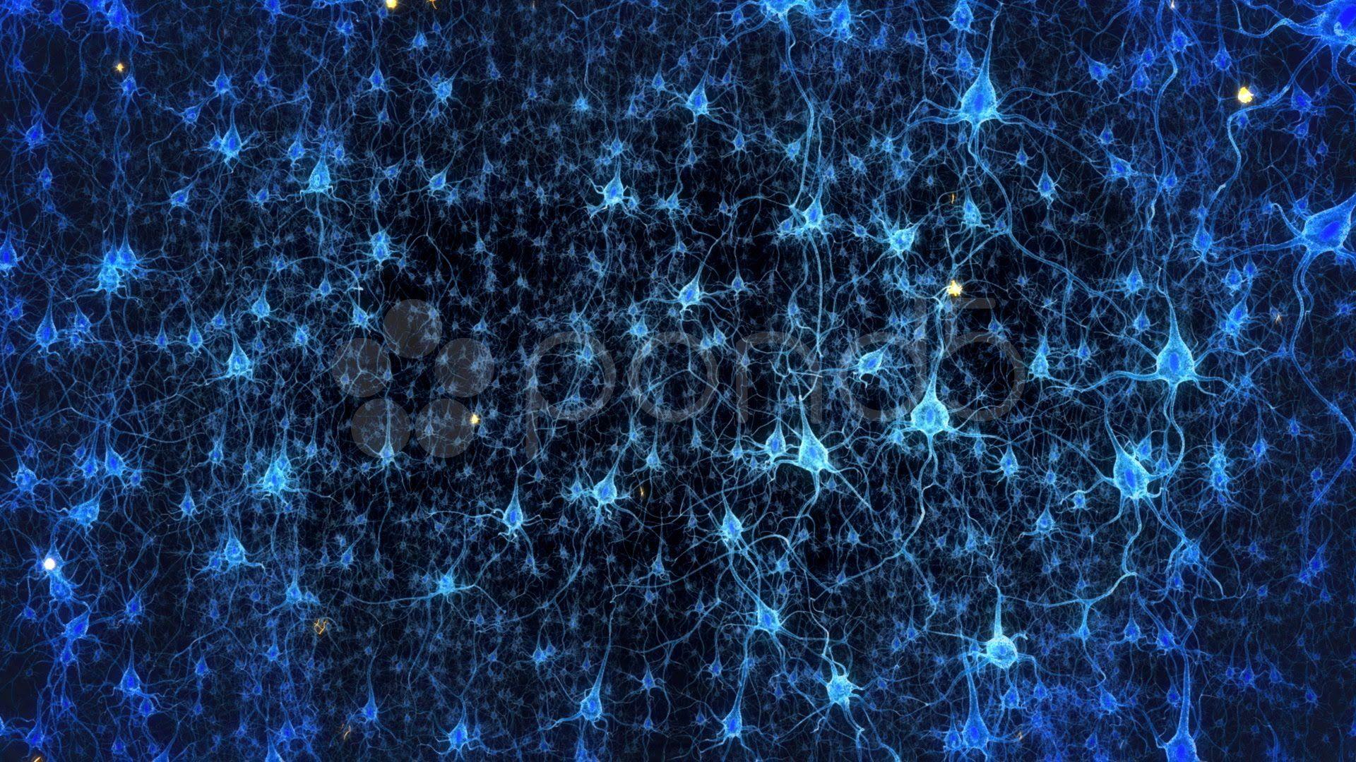 Neurons Wallpaper