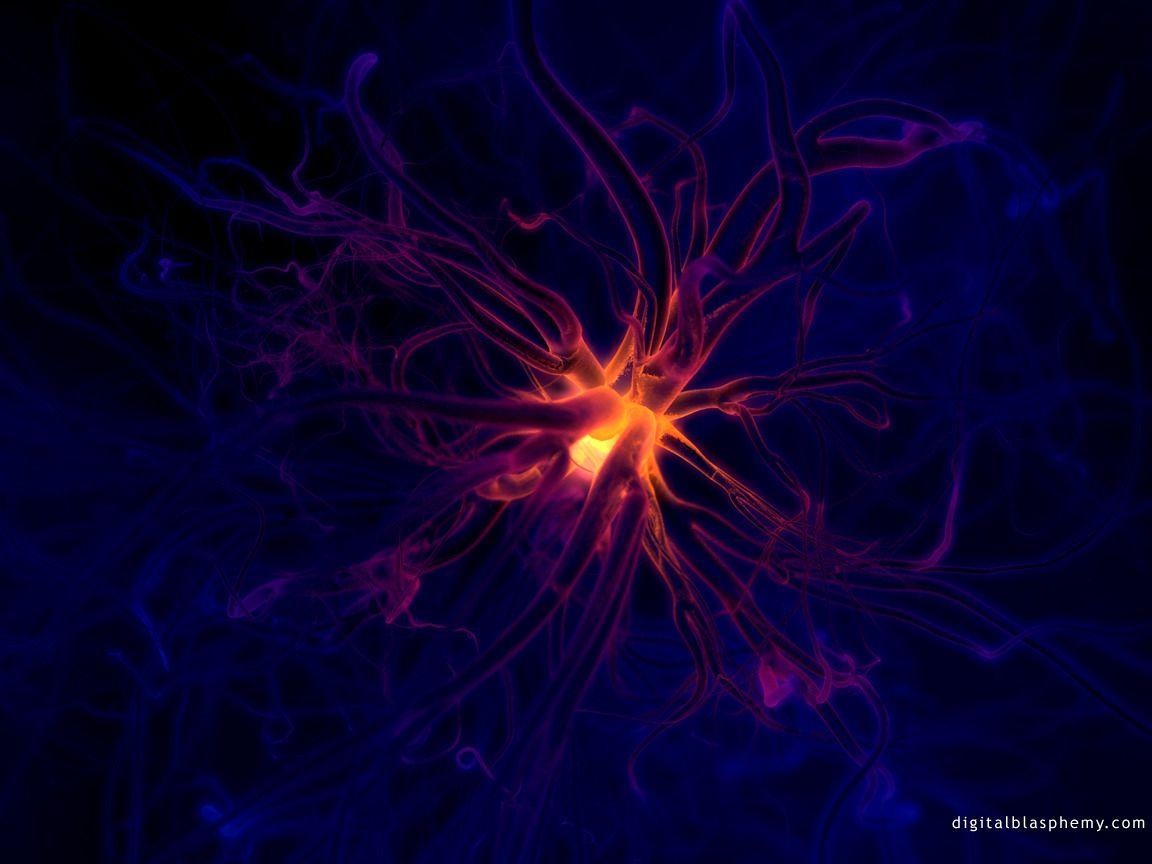 best Neuro image. Neurons, Neuroscience