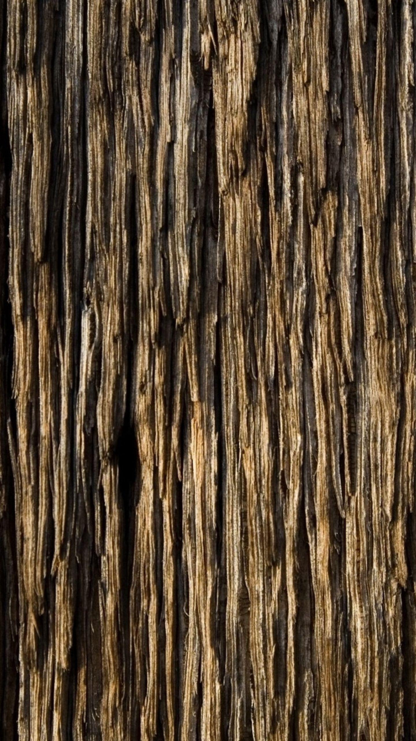 Download Wallpaper 1440x2560 Bark, Wood, Background, Texture QHD